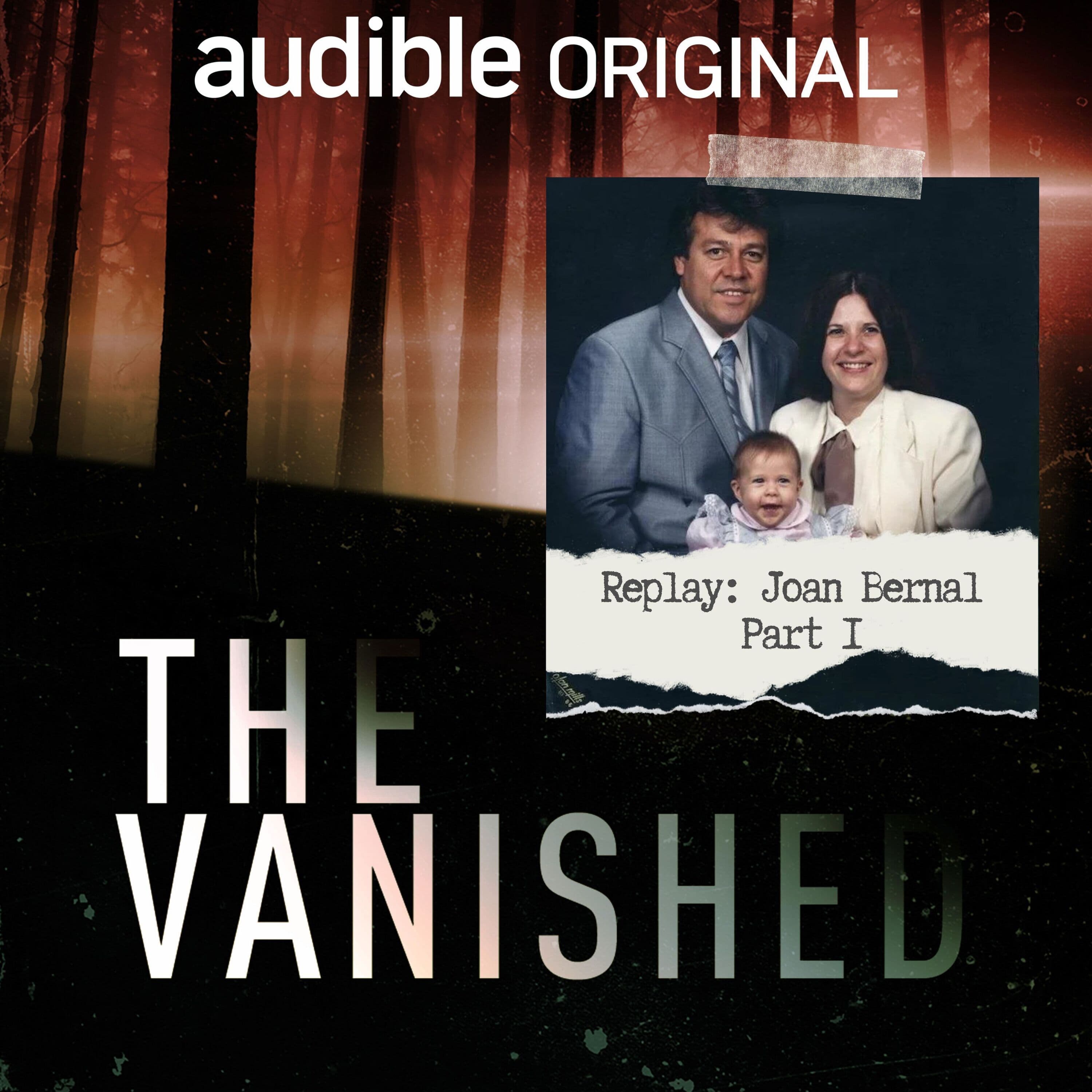 The Vanished Podcast cover art