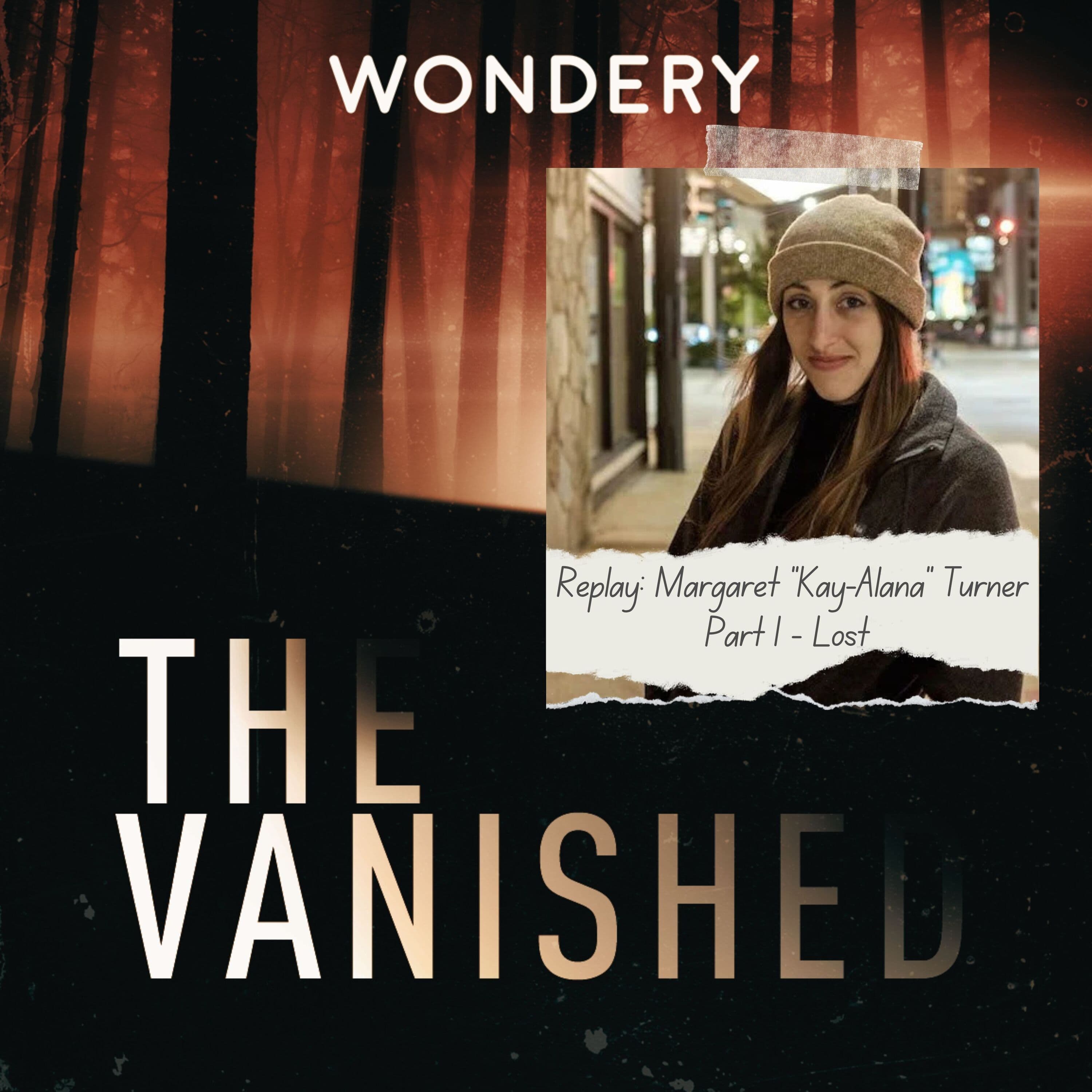 The Vanished Podcast cover art