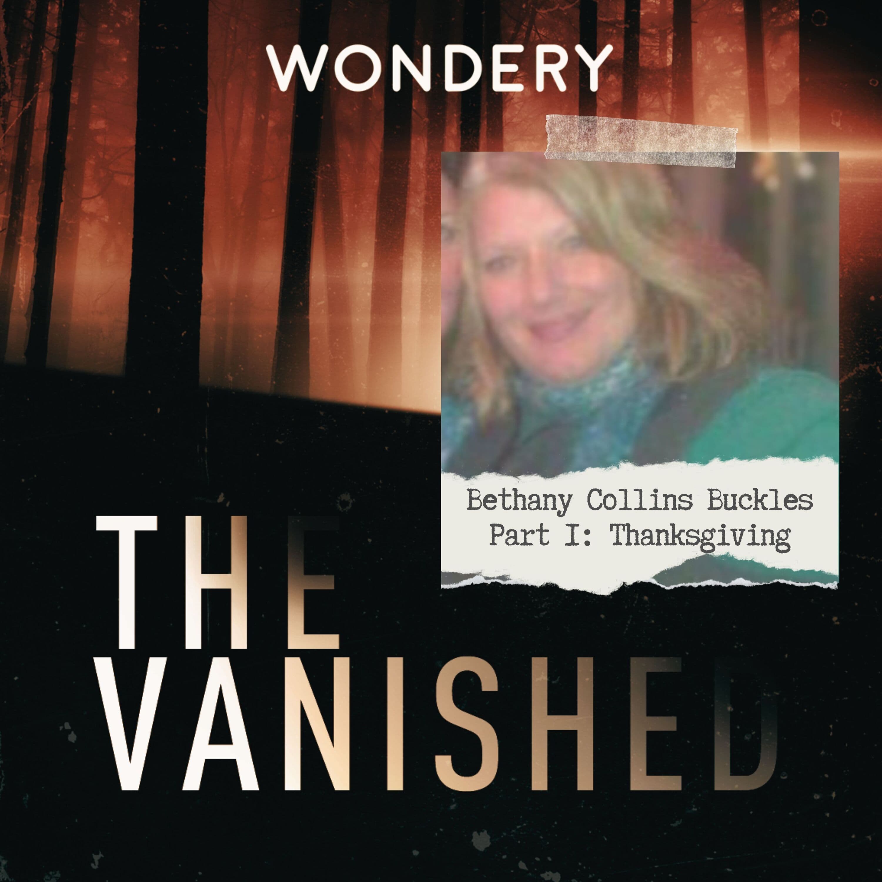 The Vanished Podcast cover art