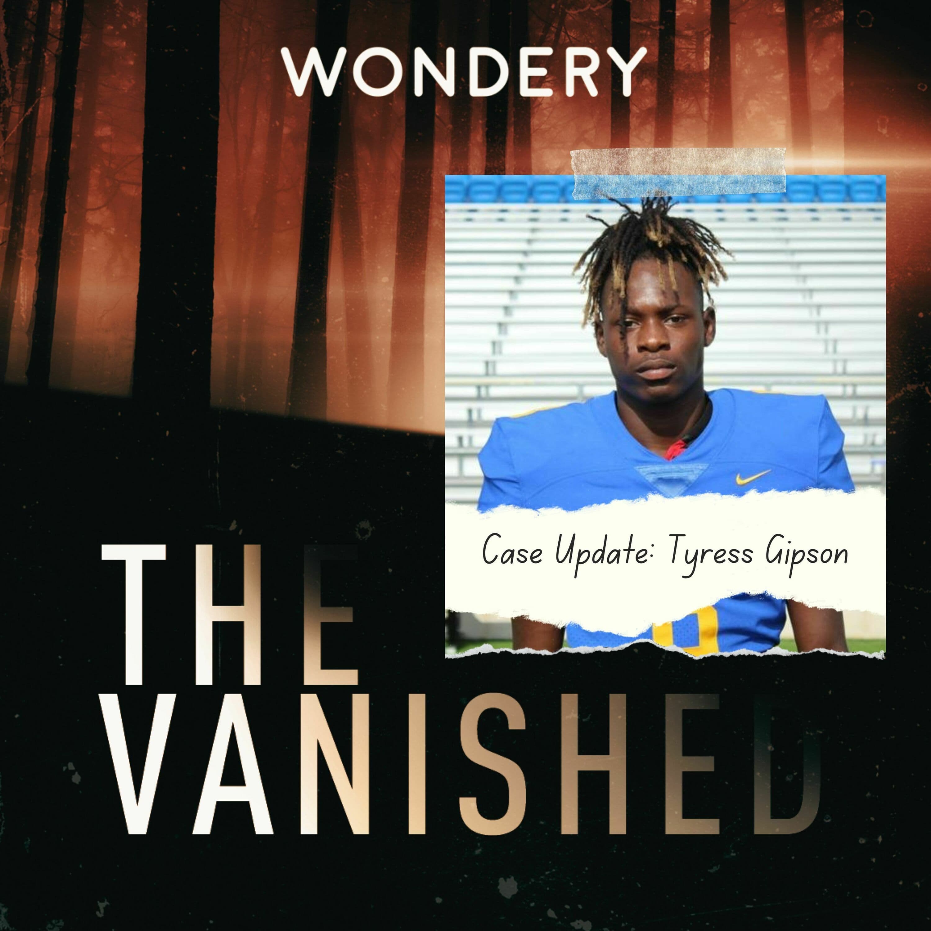 The Vanished Podcast cover art