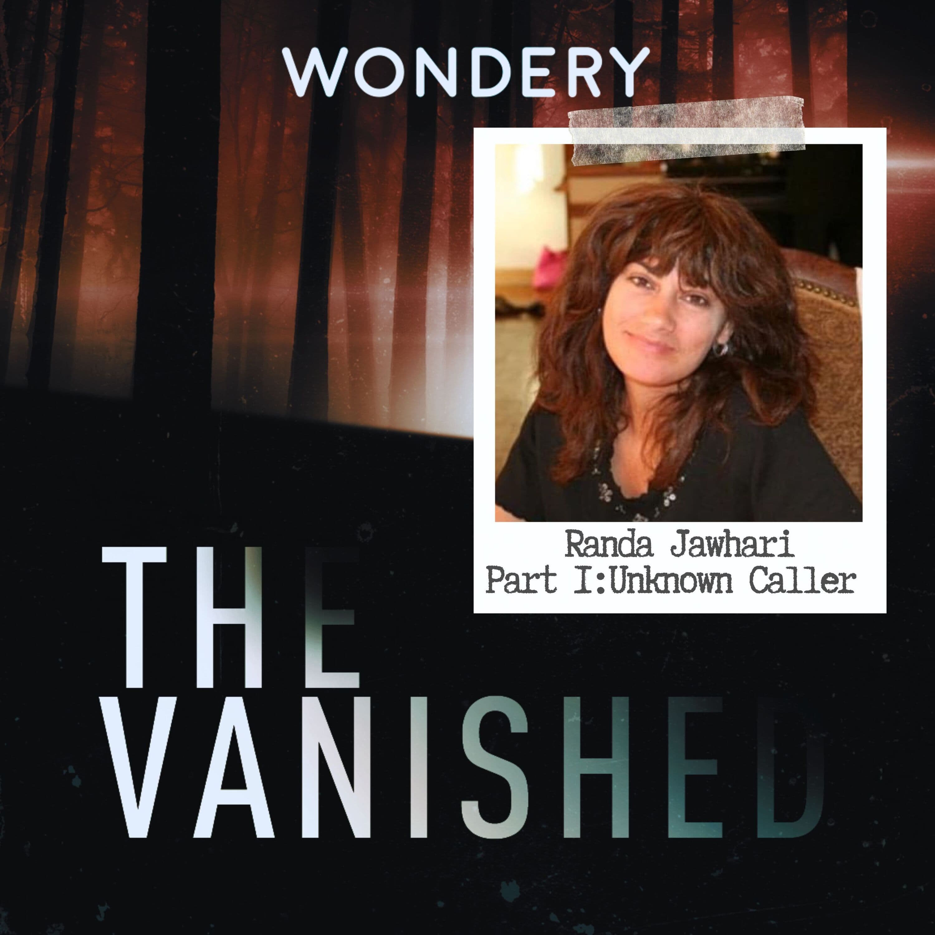 The Vanished Podcast cover art