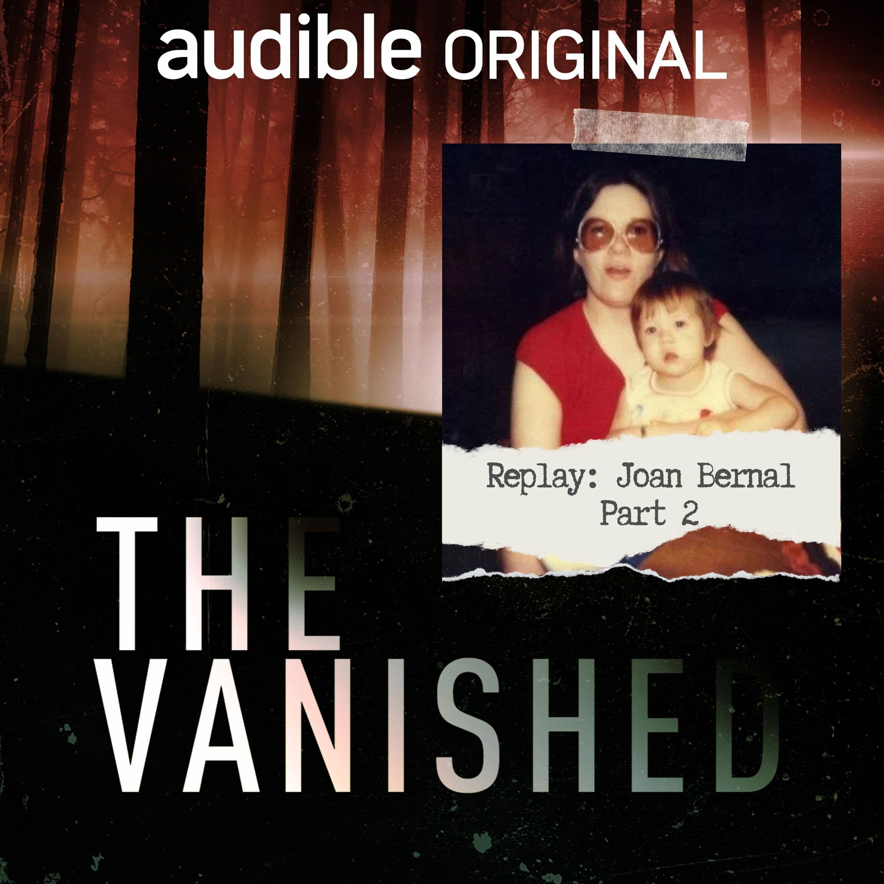 The Vanished Podcast cover art