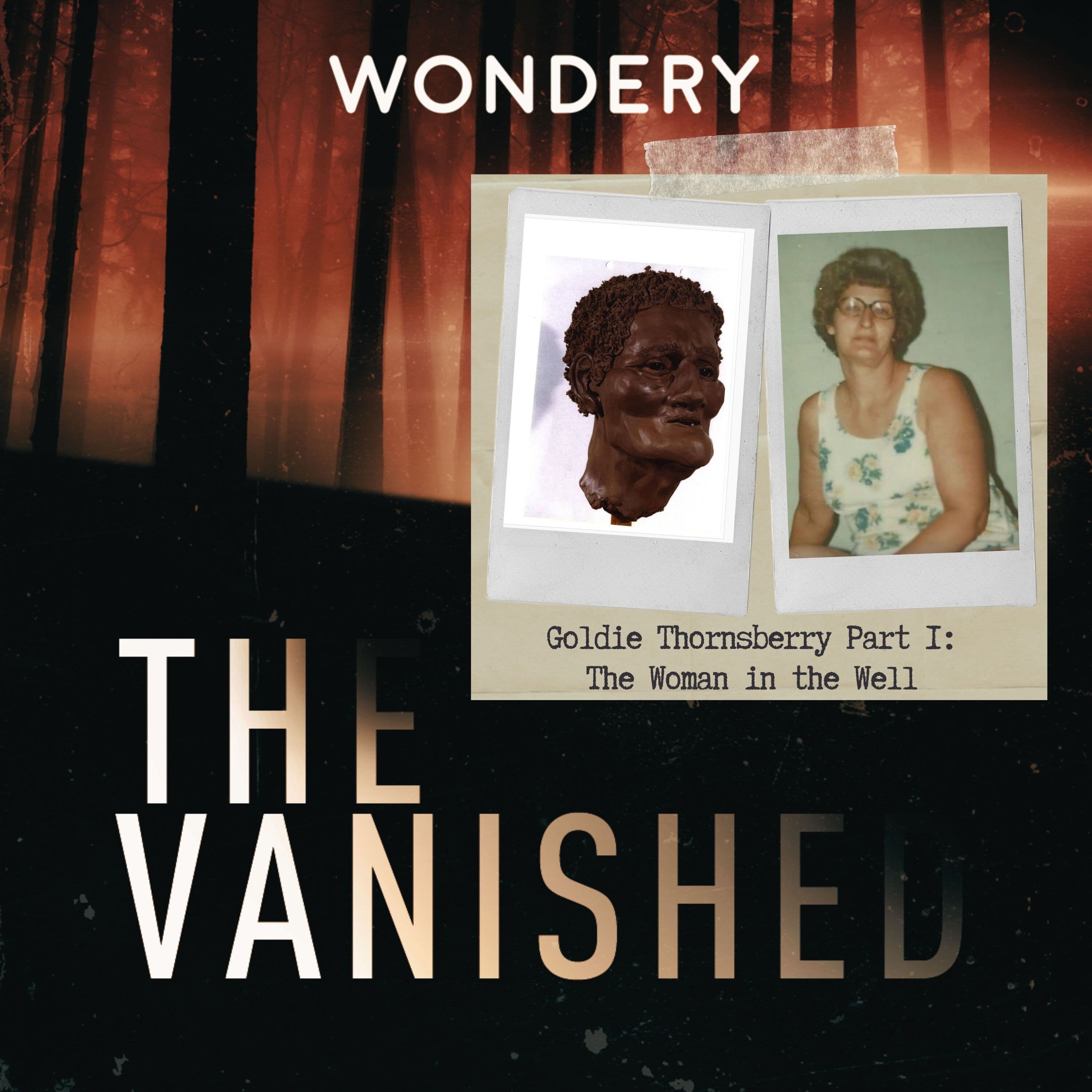 The Vanished Podcast cover art