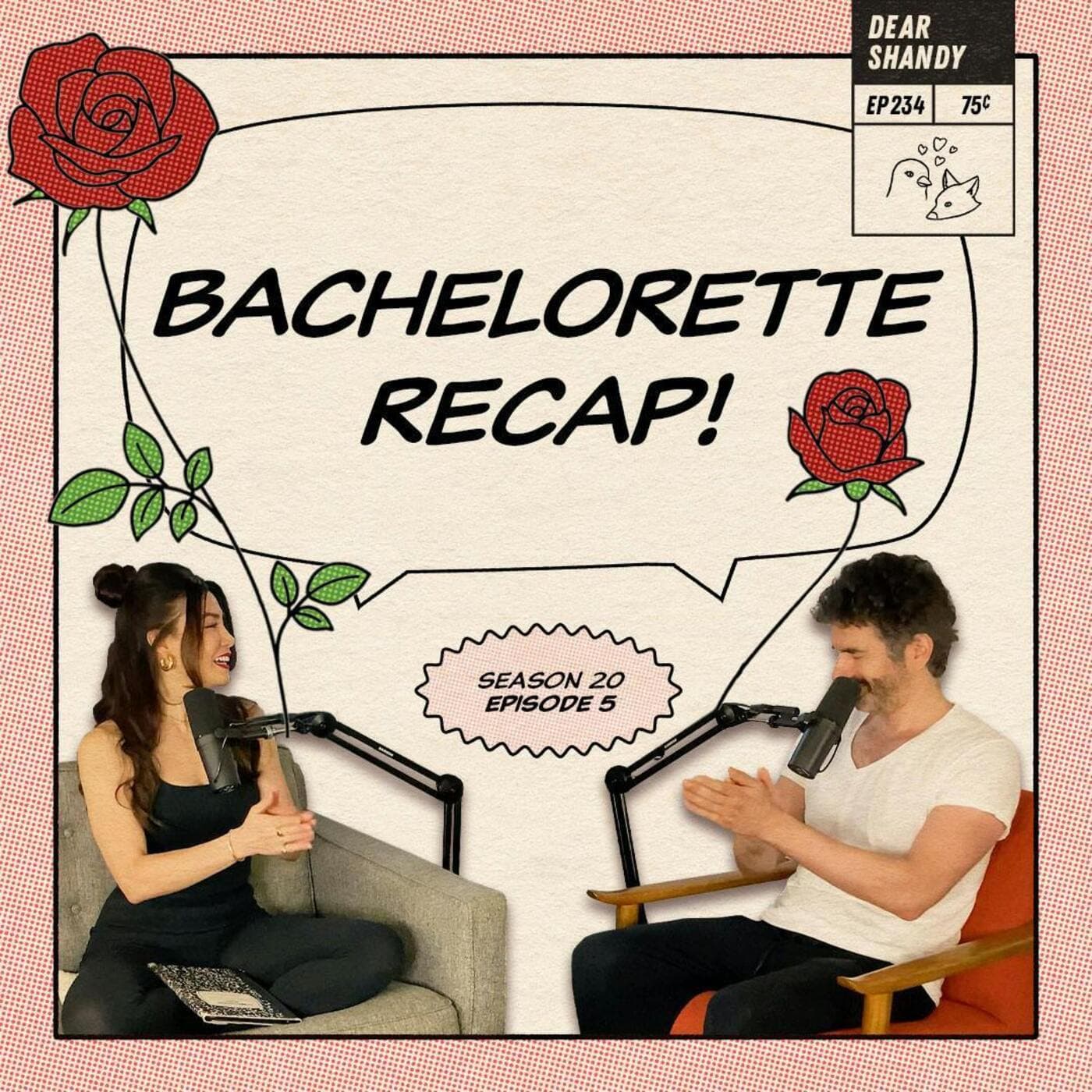 Dear Shandy podcast cover art