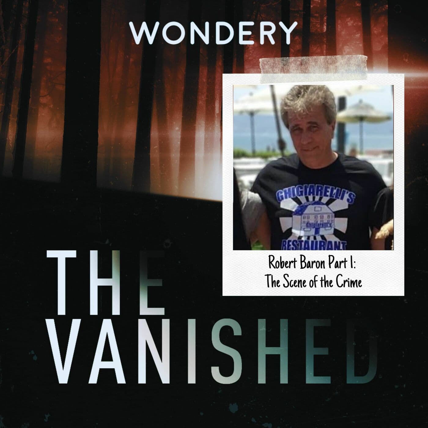 The Vanished Podcast cover art