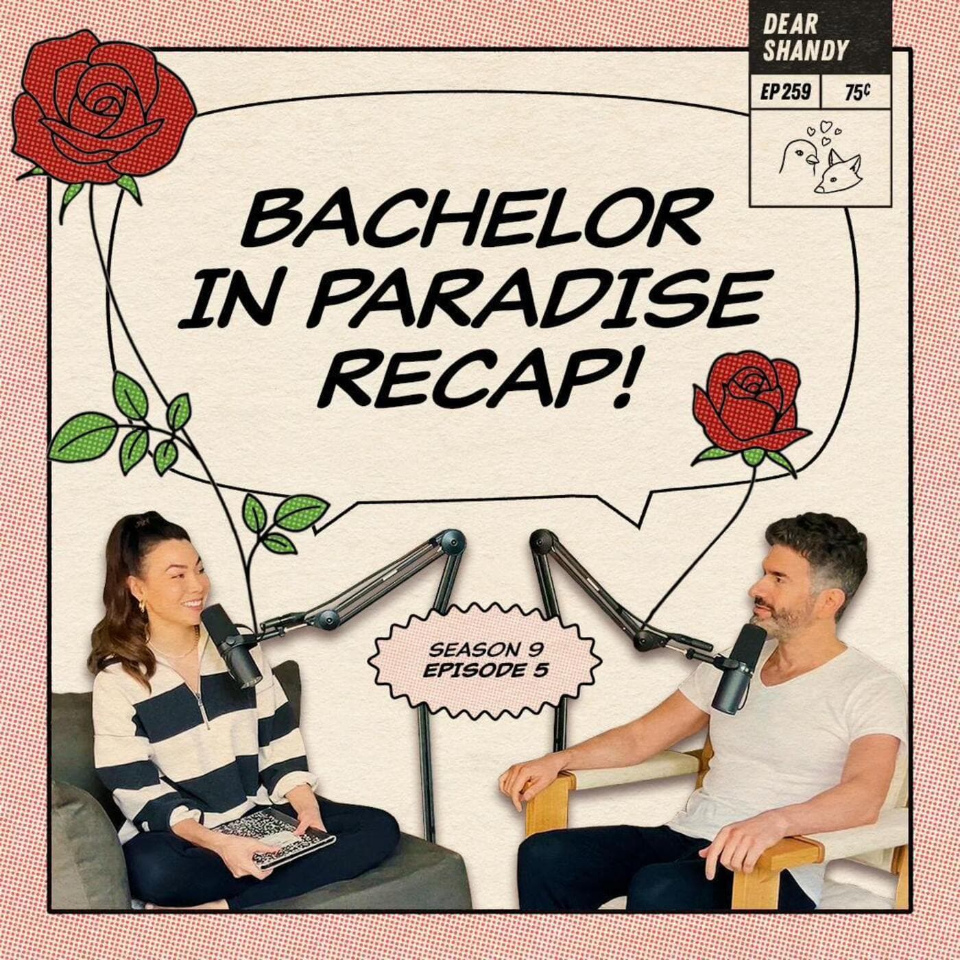 Dear Shandy podcast cover art