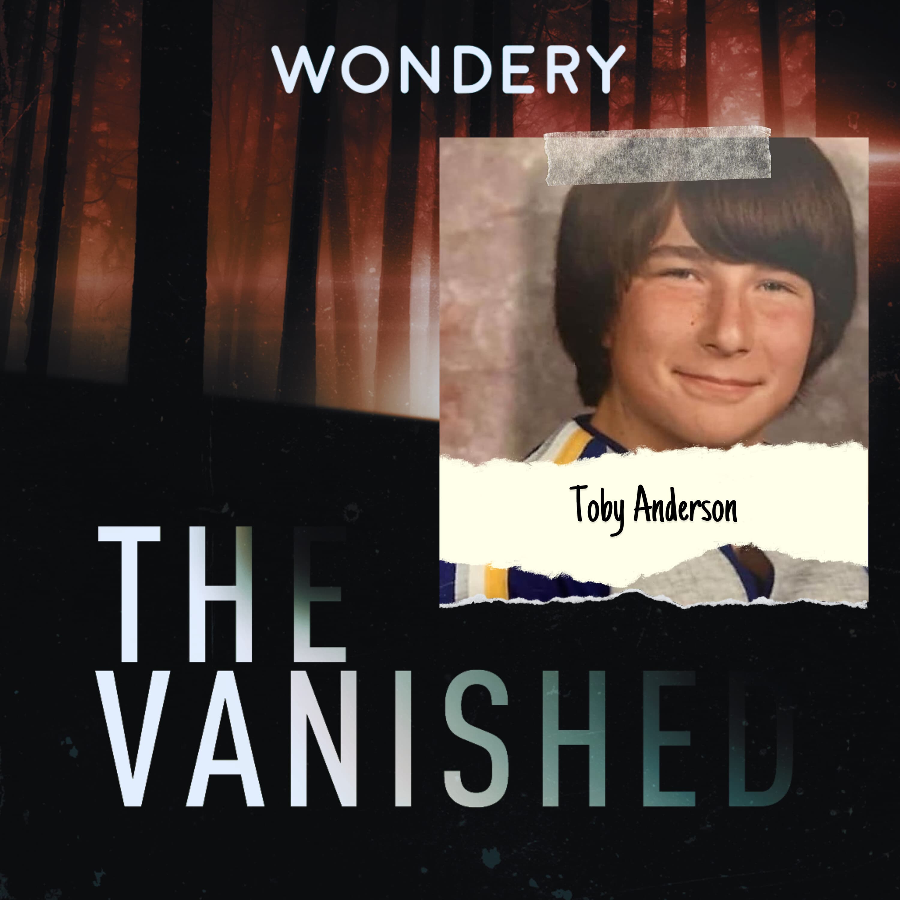 The Vanished Podcast cover art