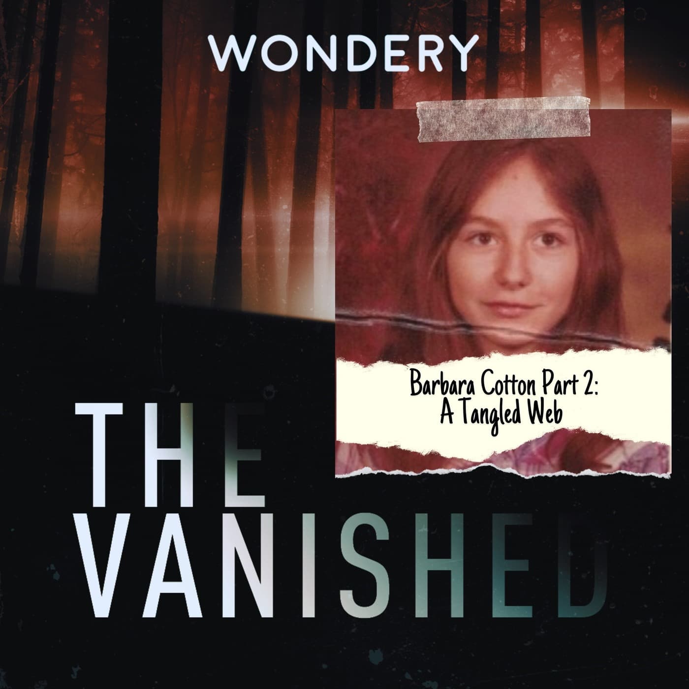 The Vanished Podcast cover art