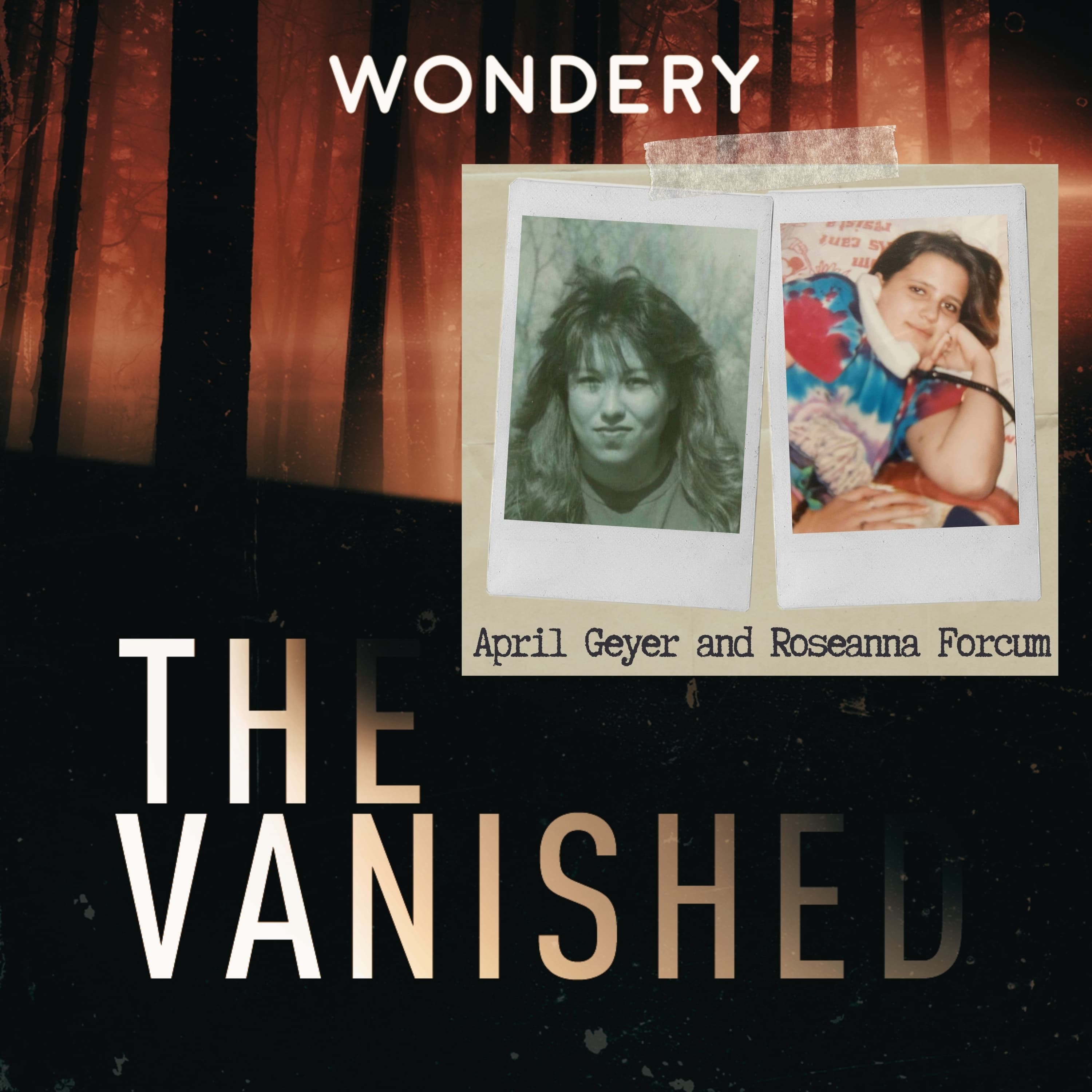 The Vanished Podcast cover art