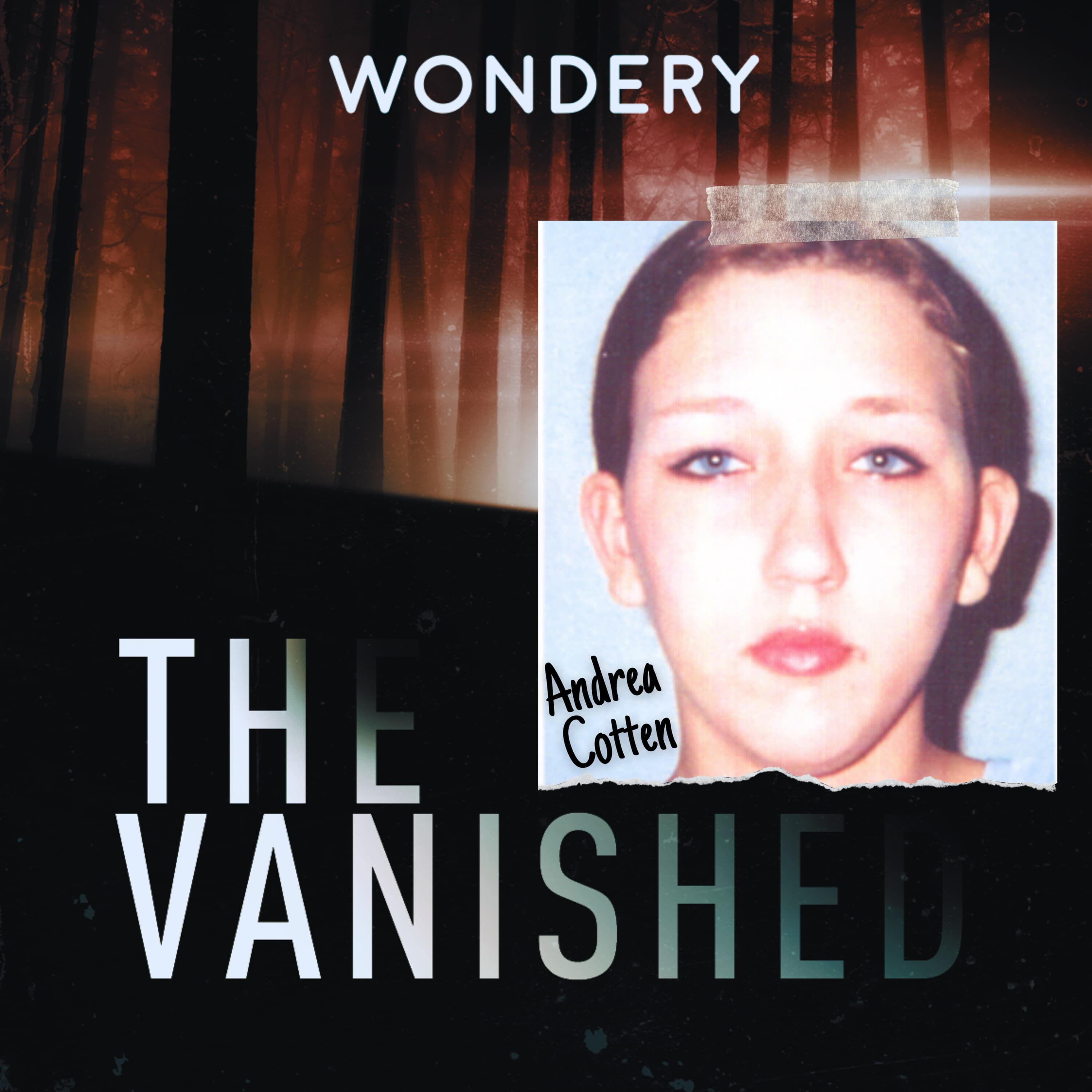 The Vanished Podcast cover art