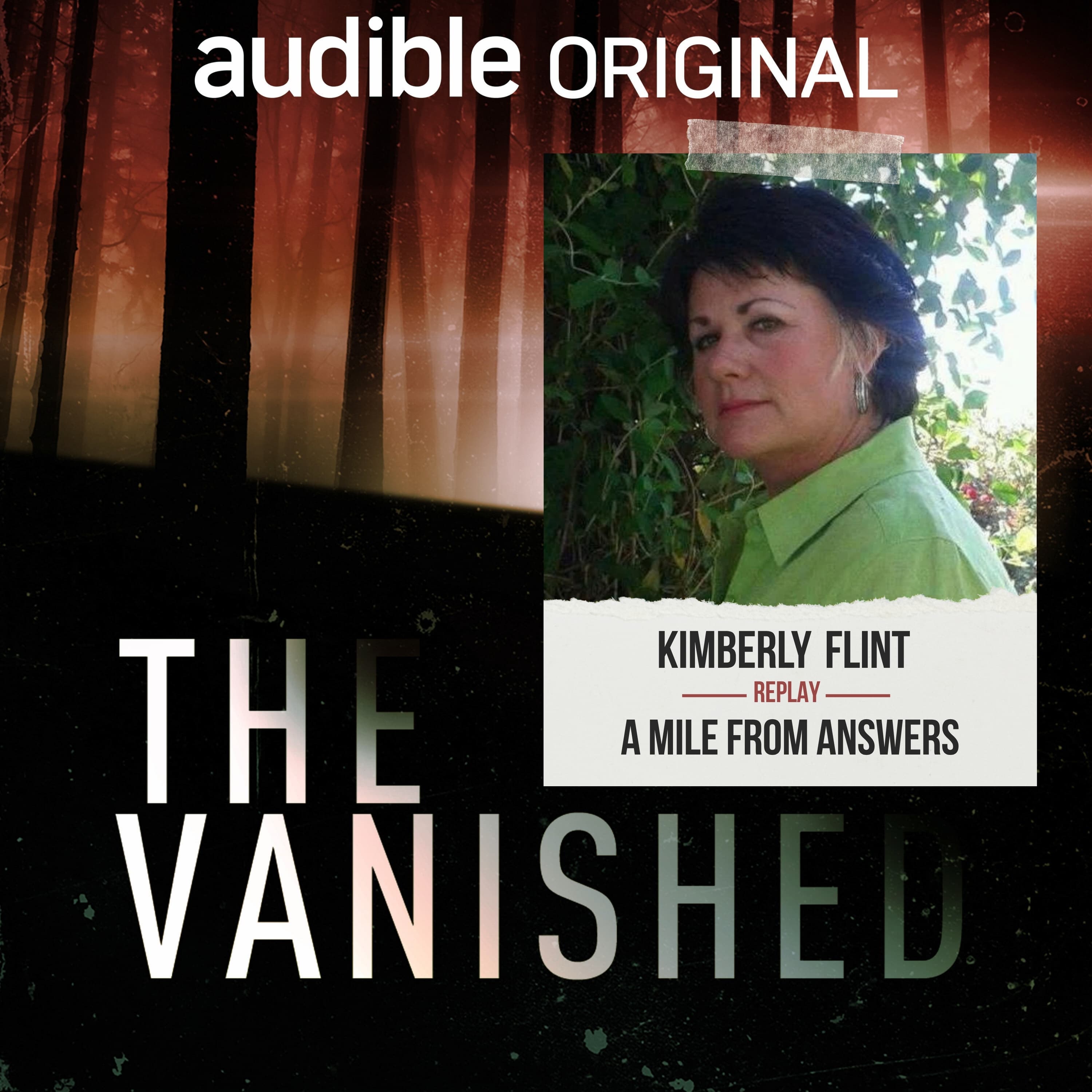 The Vanished Podcast cover art