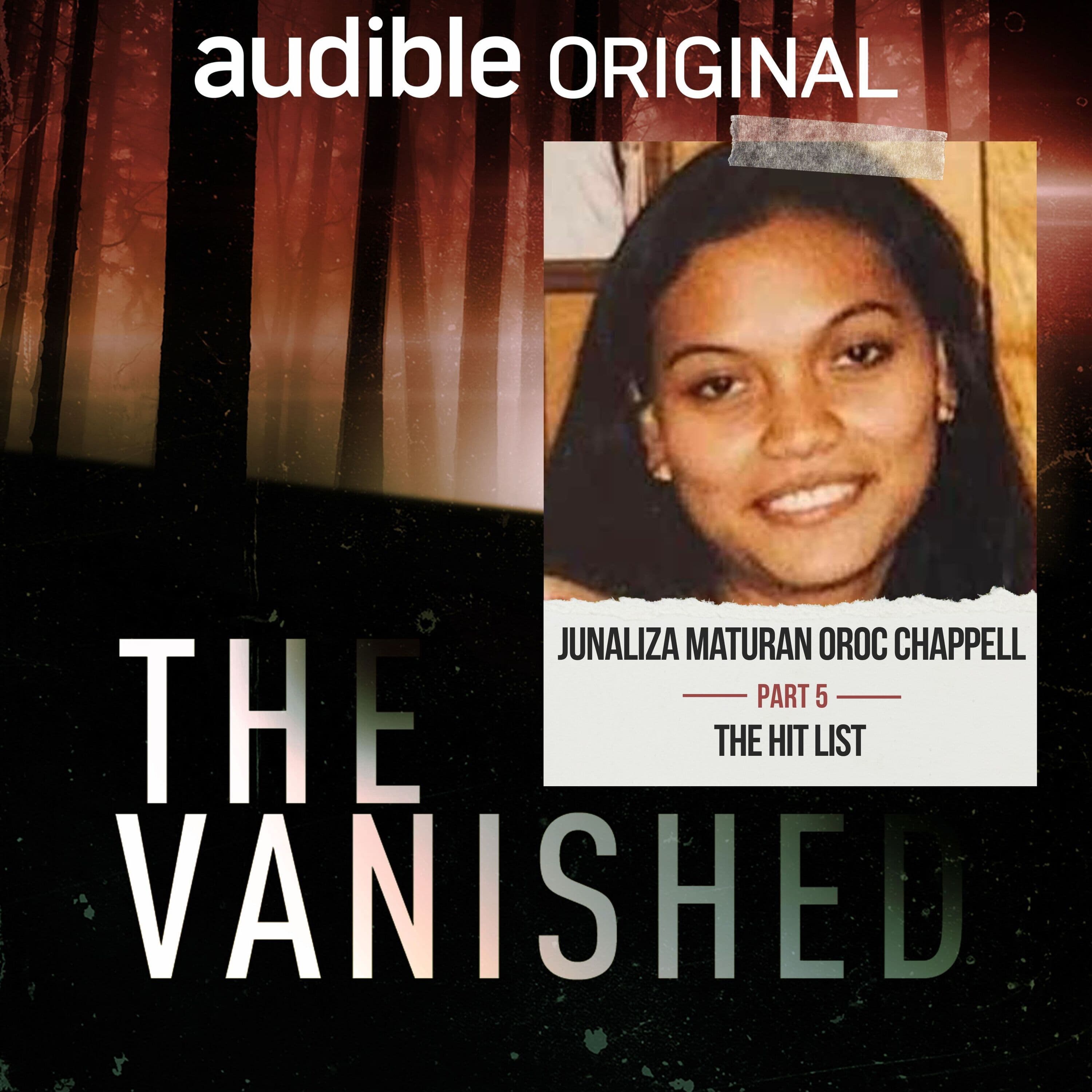 The Vanished Podcast cover art