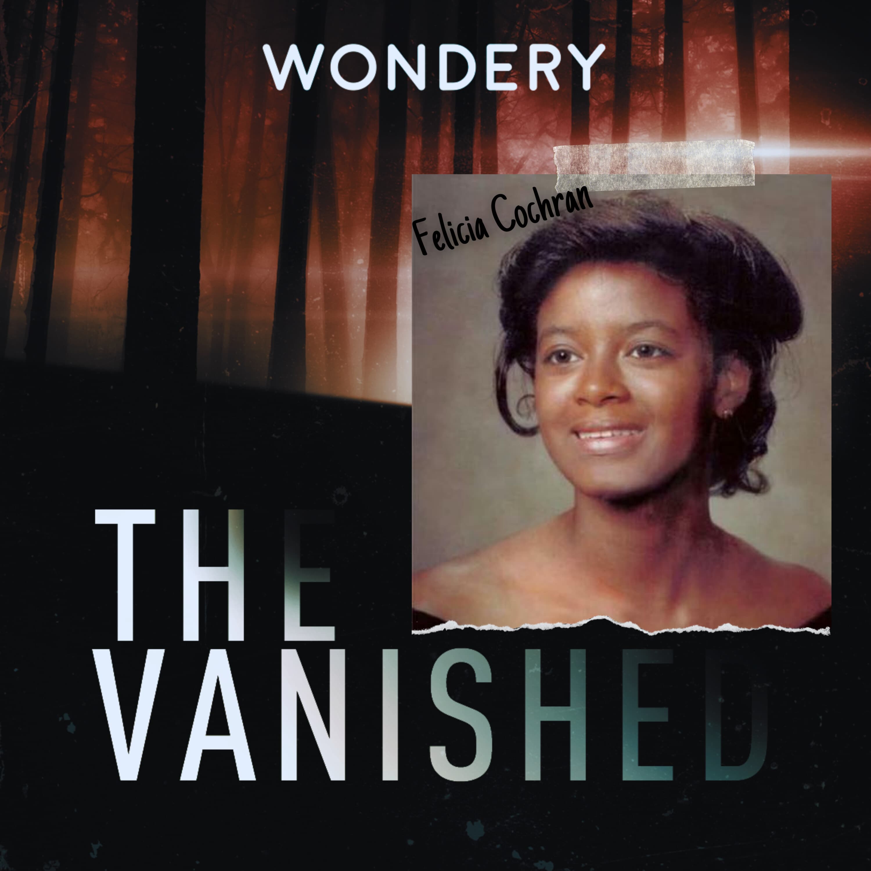 The Vanished Podcast cover art