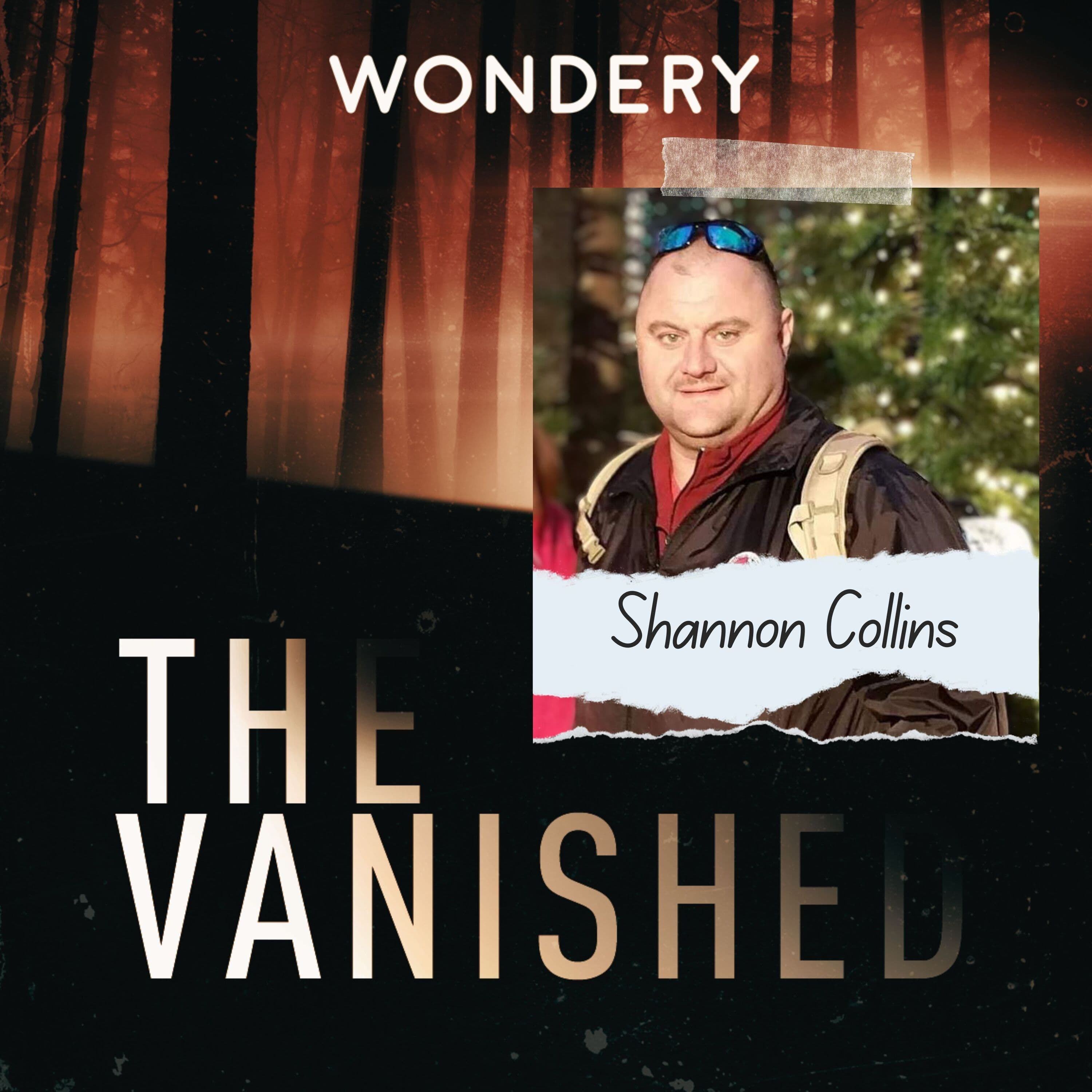 The Vanished Podcast cover art