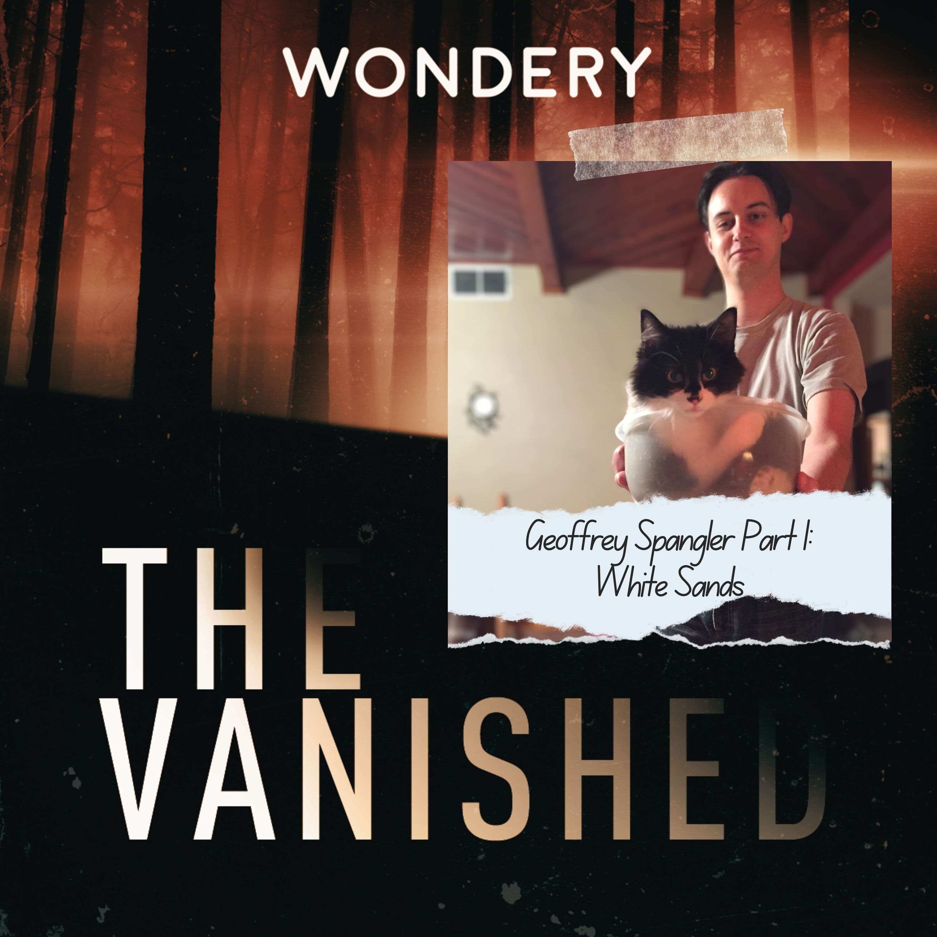 The Vanished Podcast cover art
