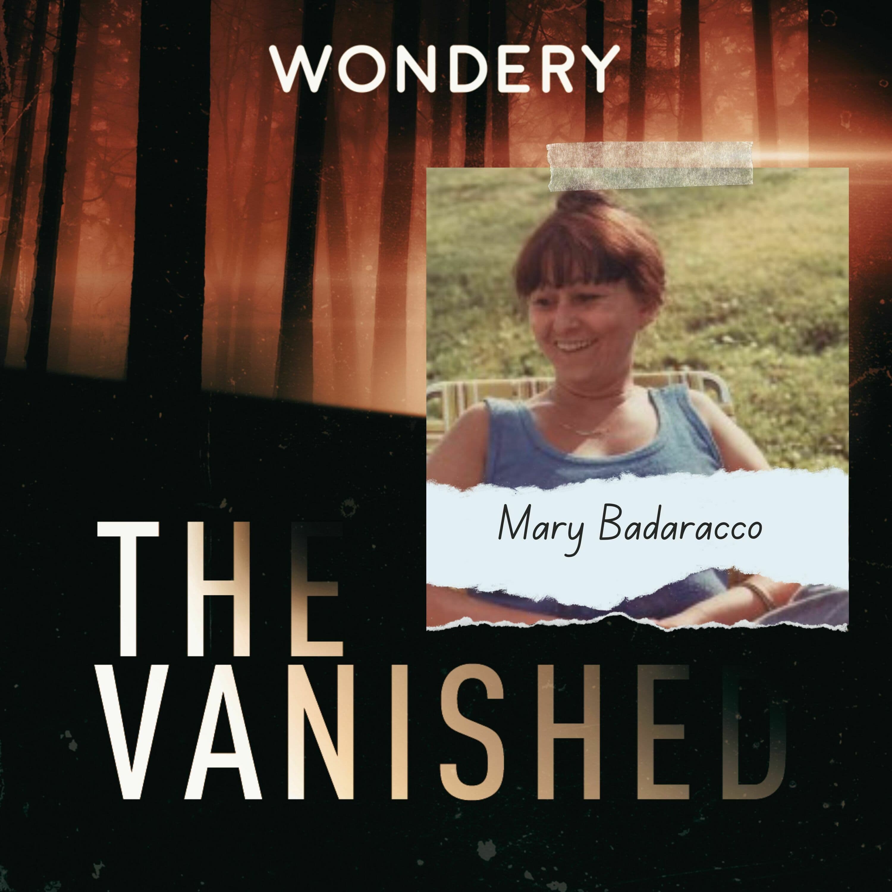 The Vanished Podcast cover art
