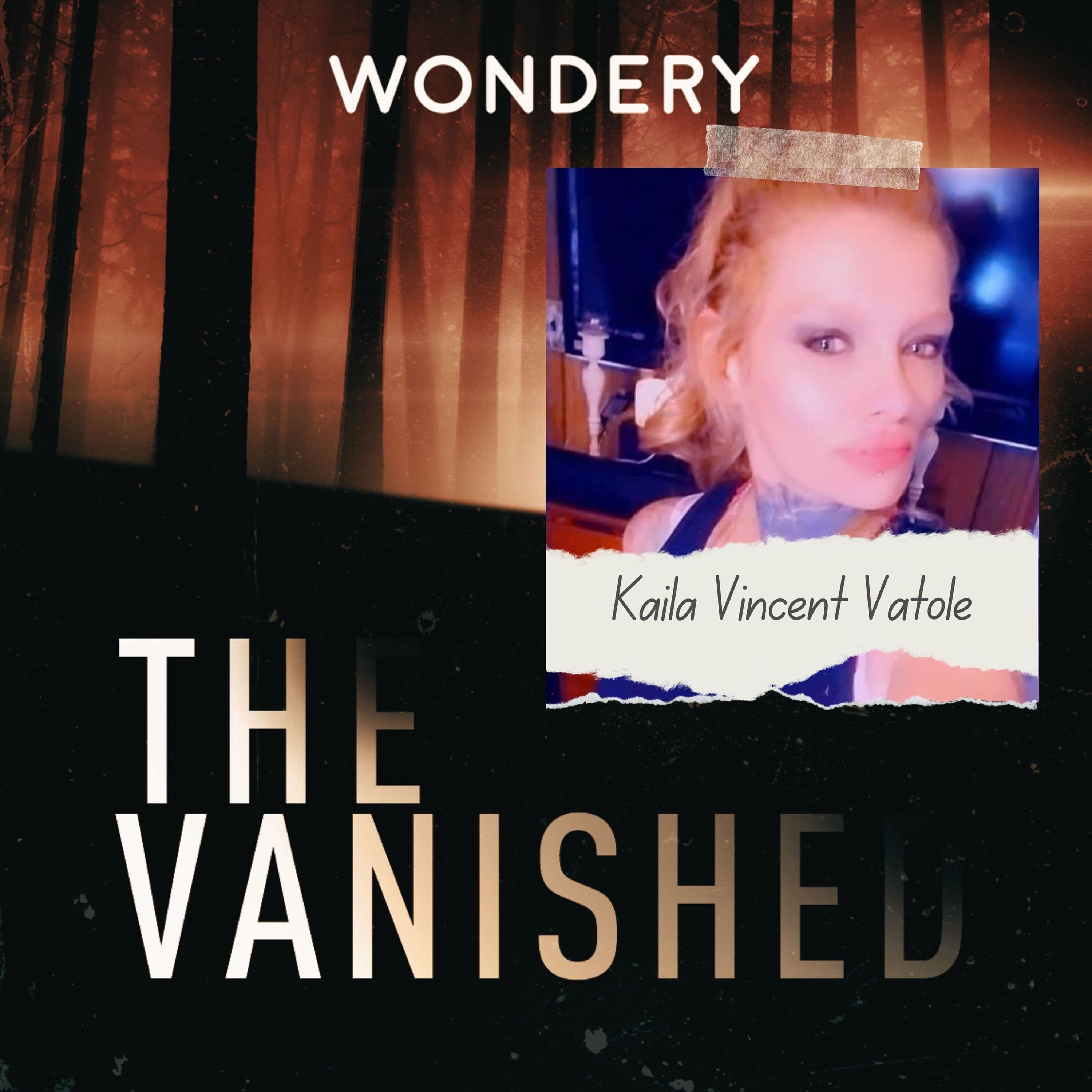 The Vanished Podcast cover art