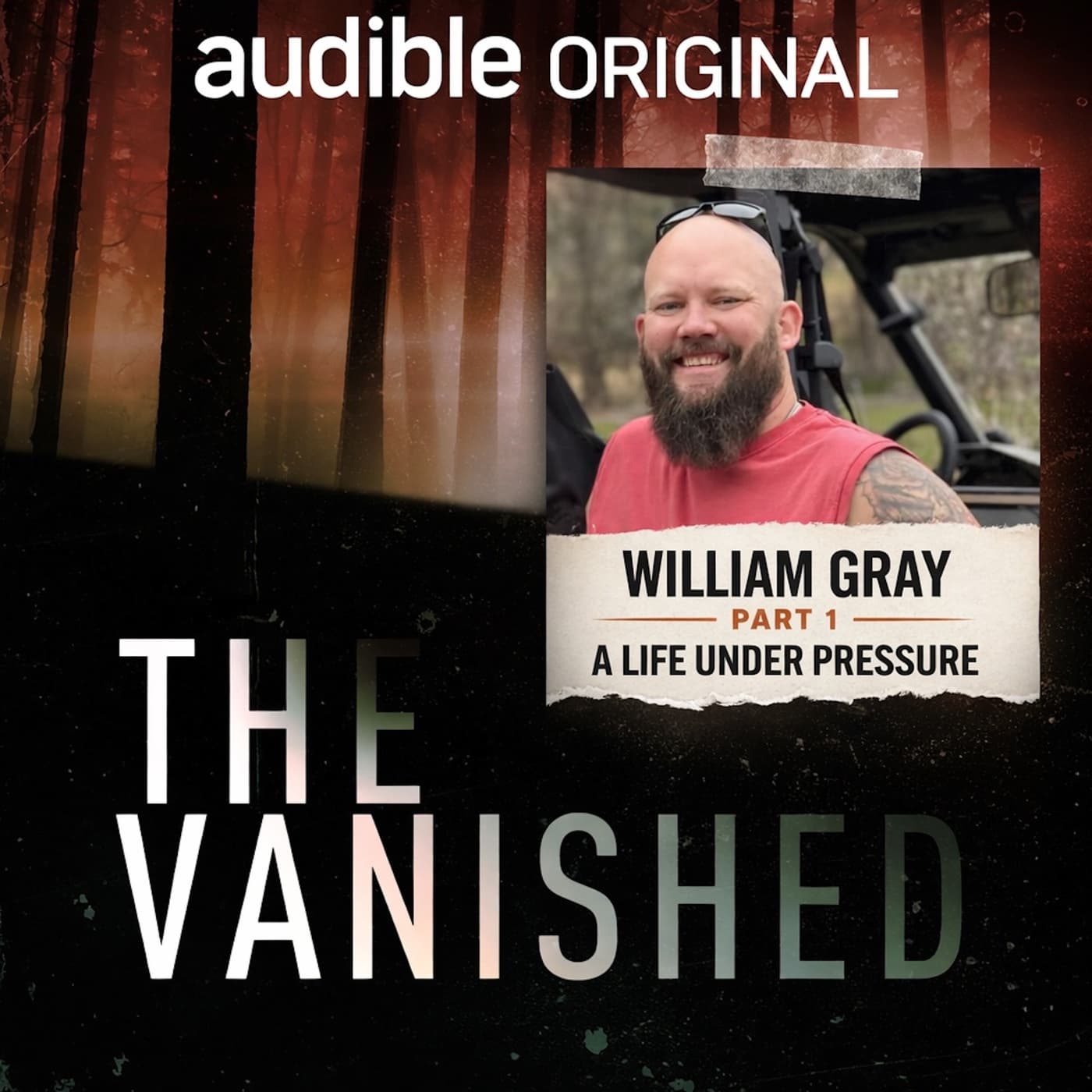 The Vanished Podcast cover art