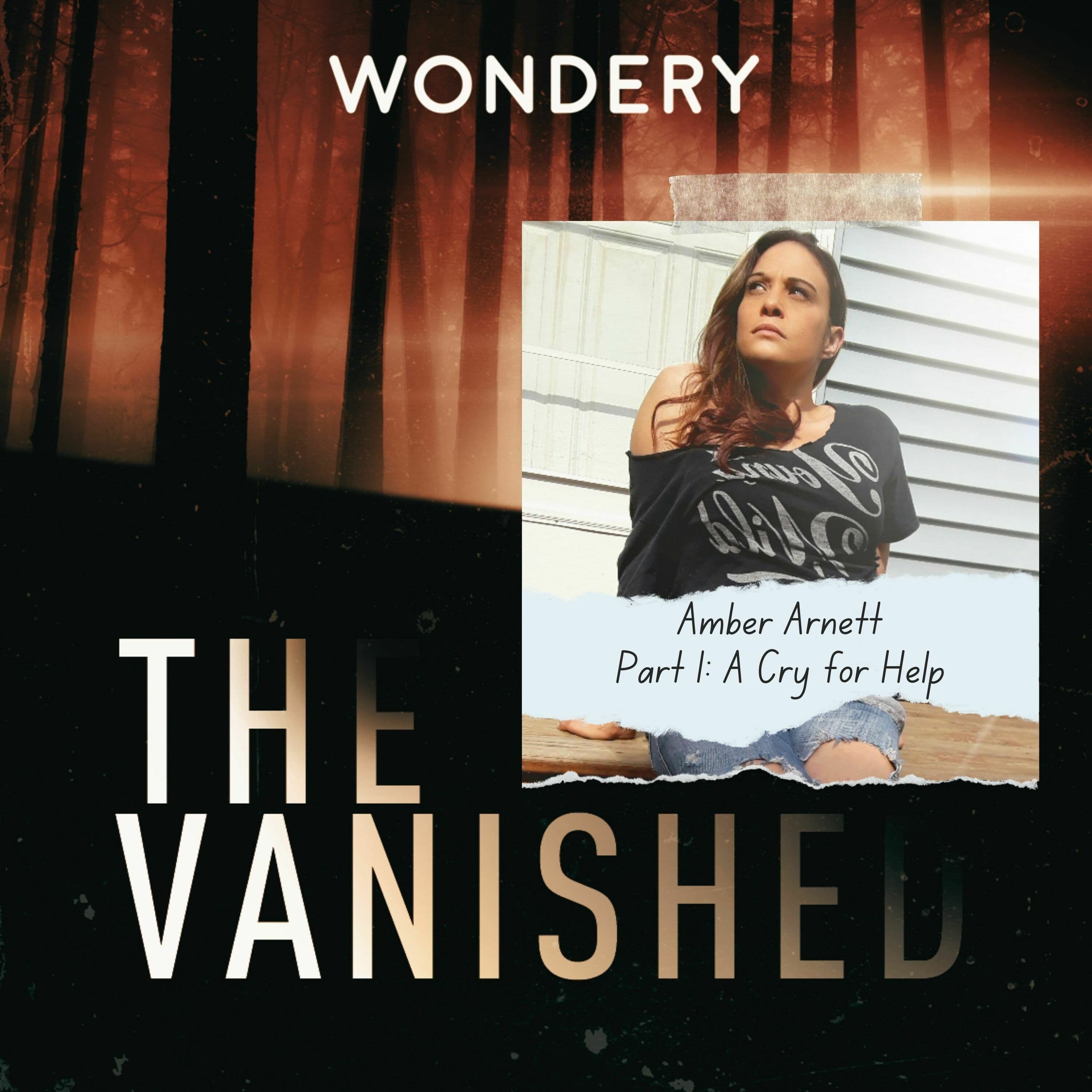The Vanished Podcast cover art