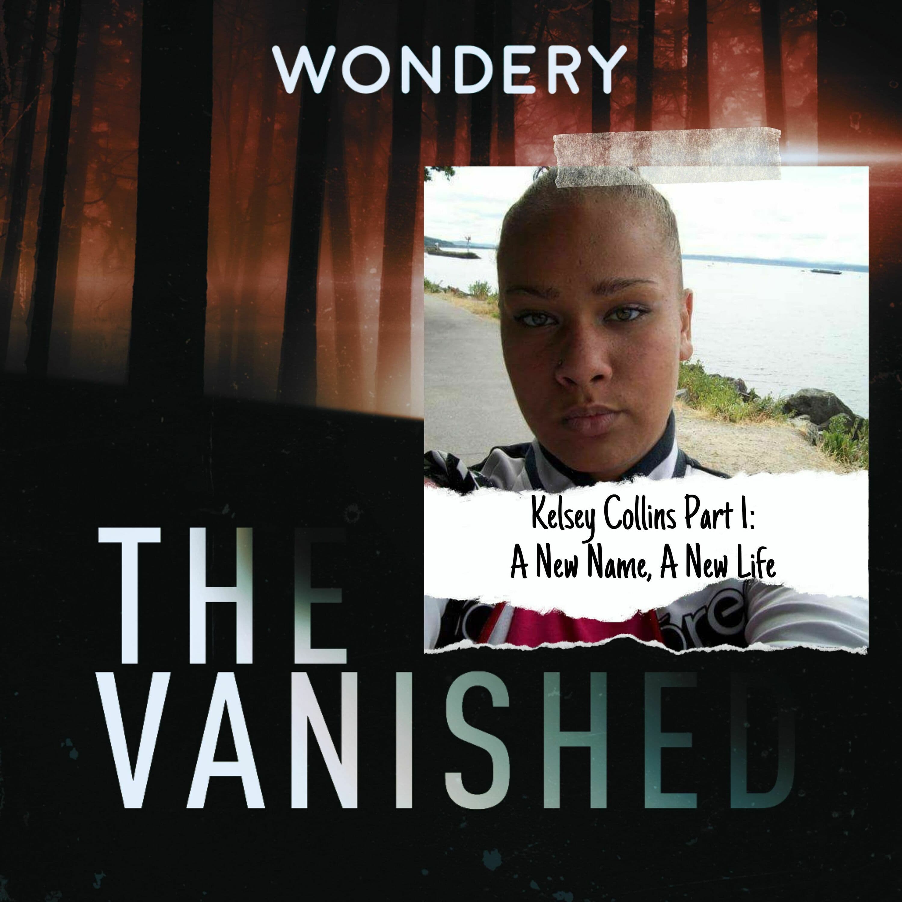 The Vanished Podcast cover art