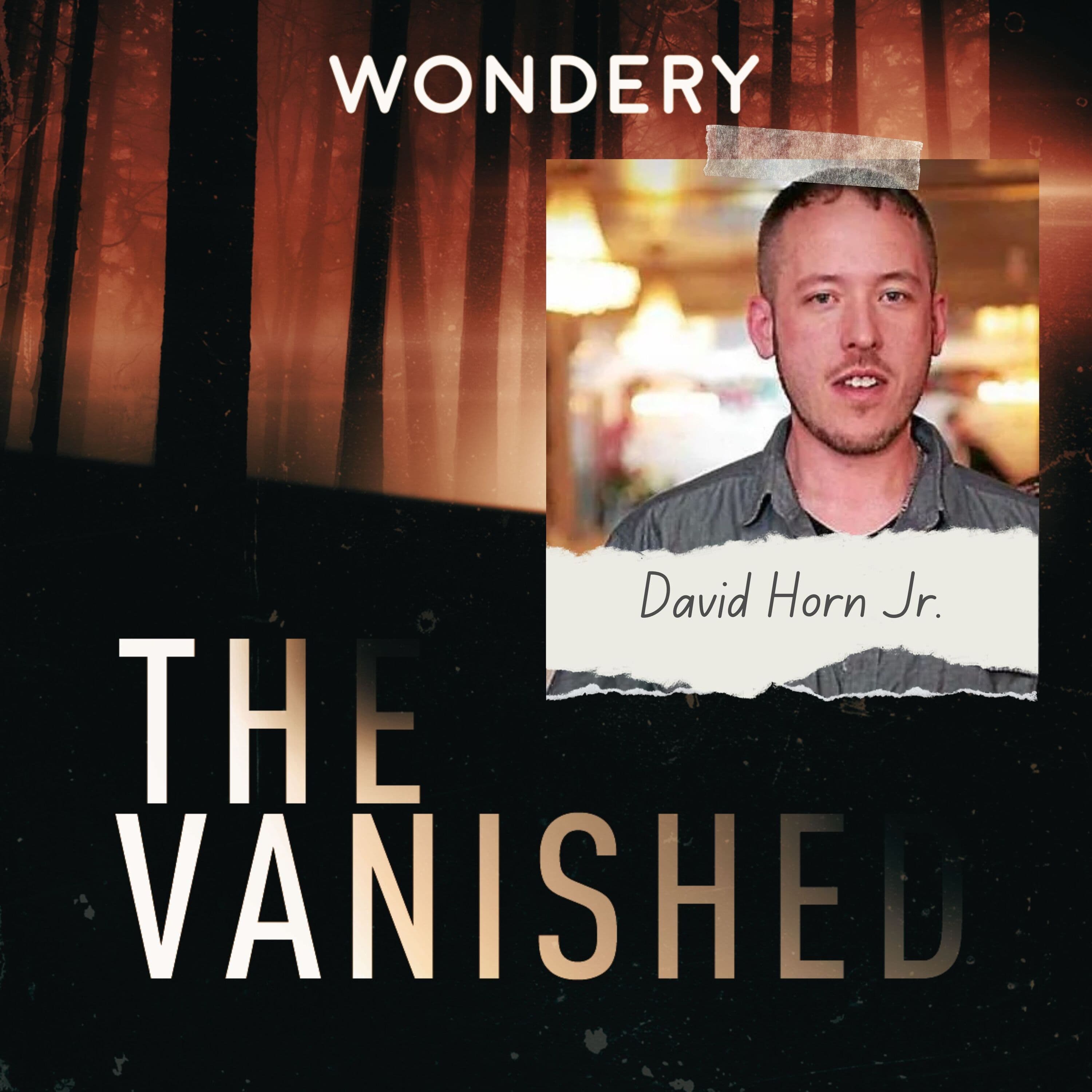The Vanished Podcast cover art
