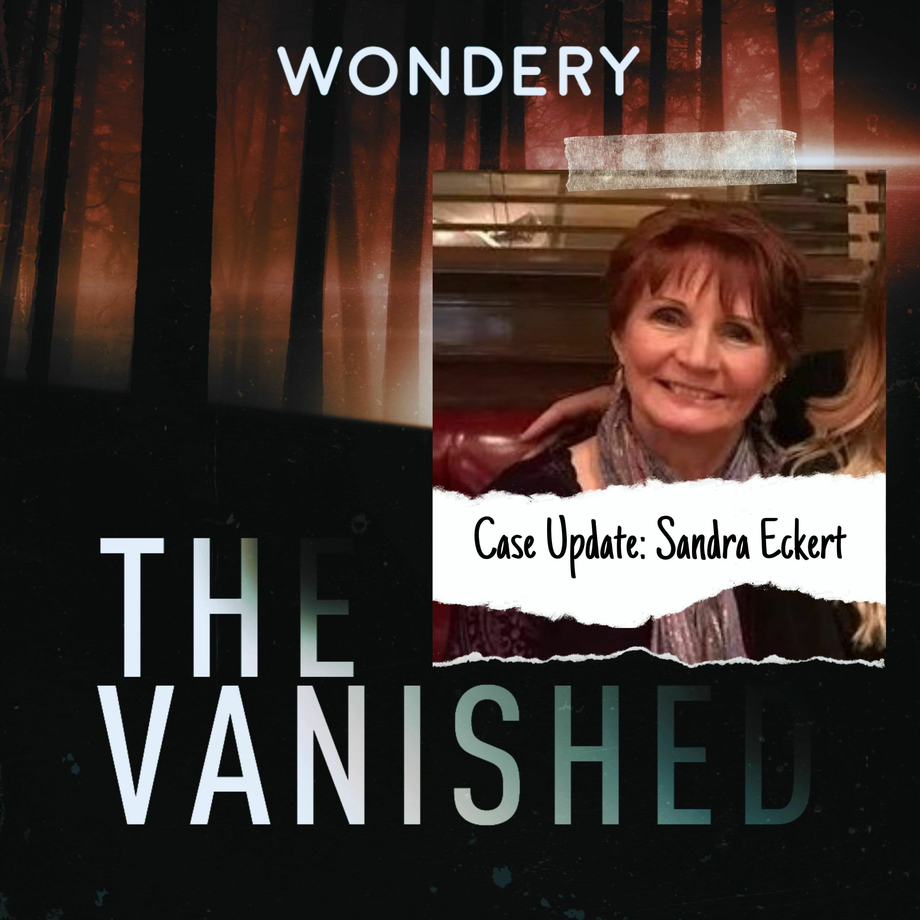 The Vanished Podcast cover art