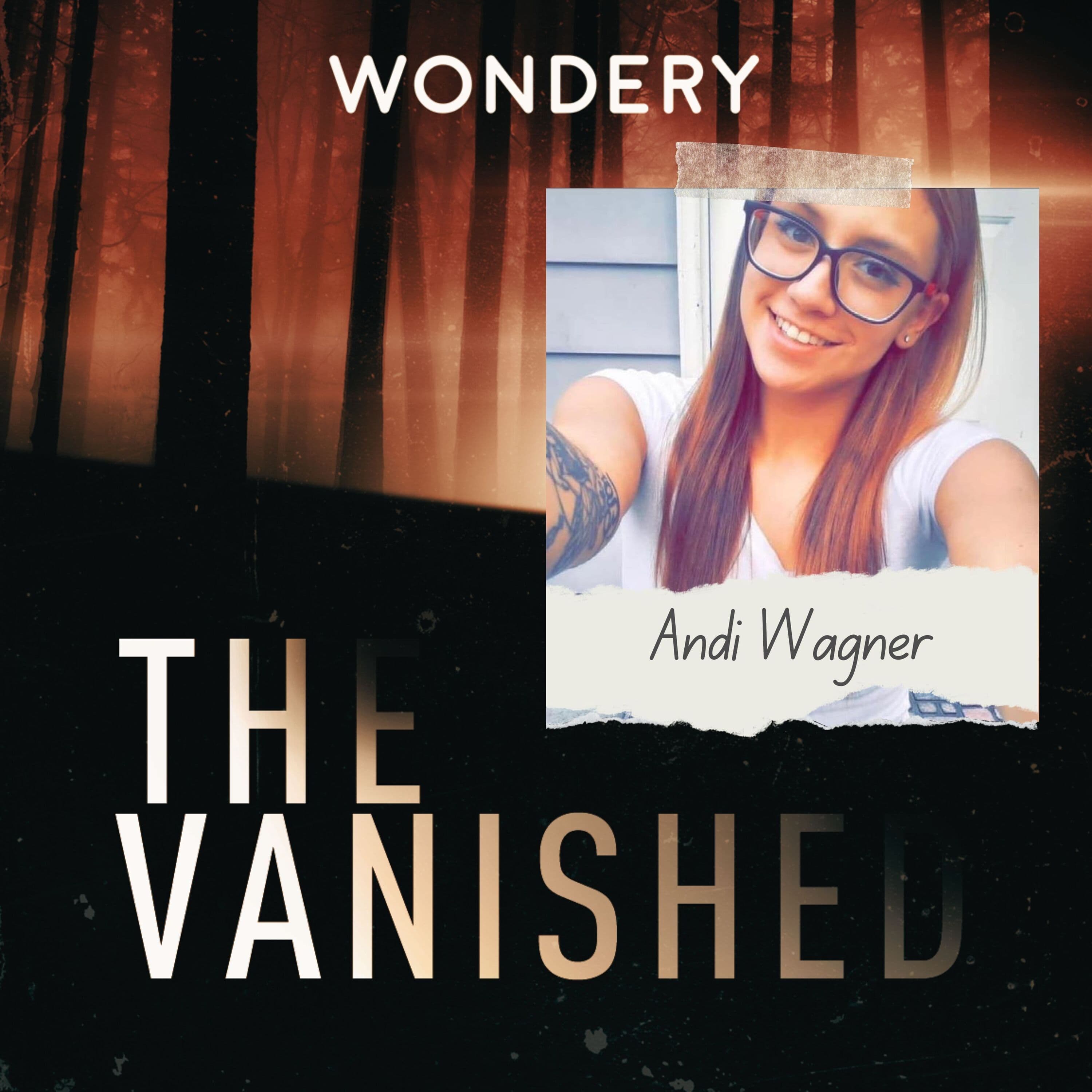 The Vanished Podcast cover art