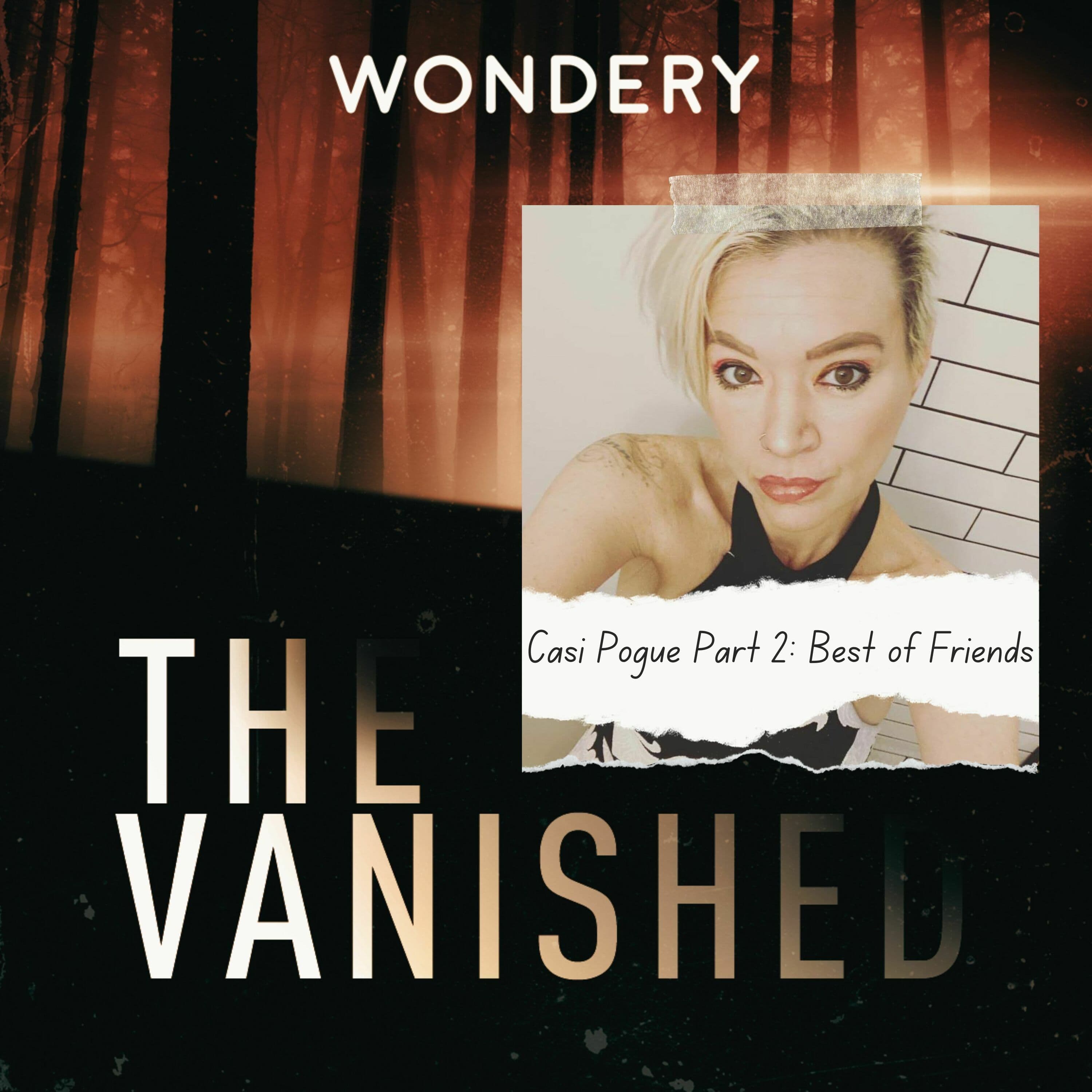 The Vanished Podcast cover art