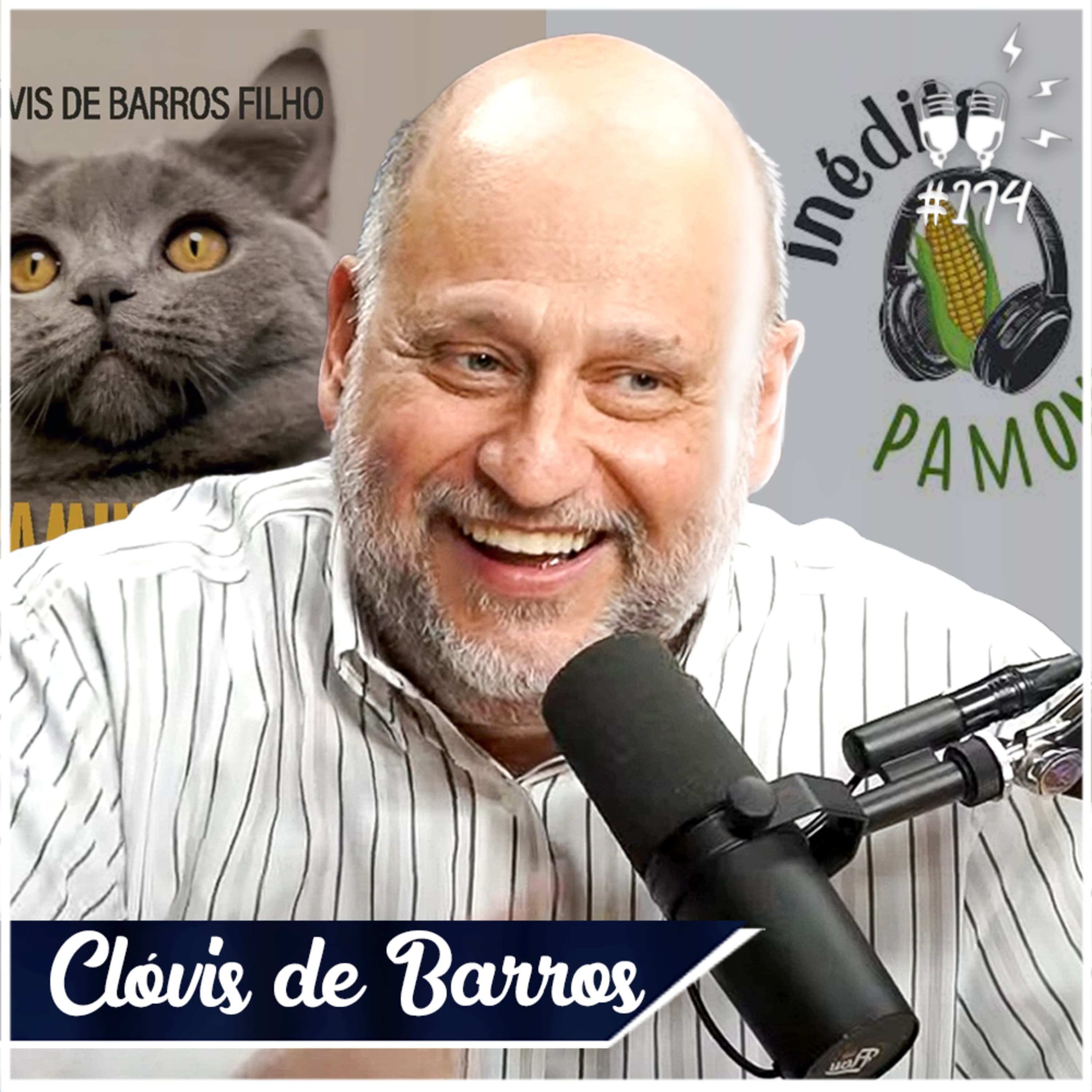 Flow Podcast cover art
