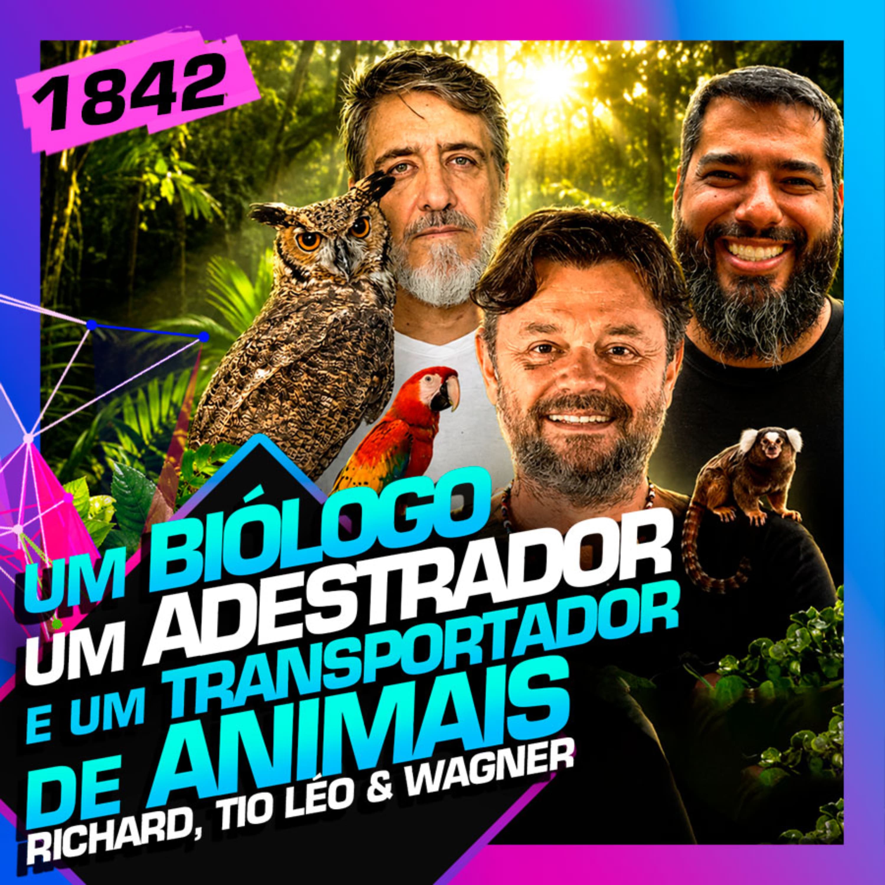 Inteligência Ltda. podcast cover art