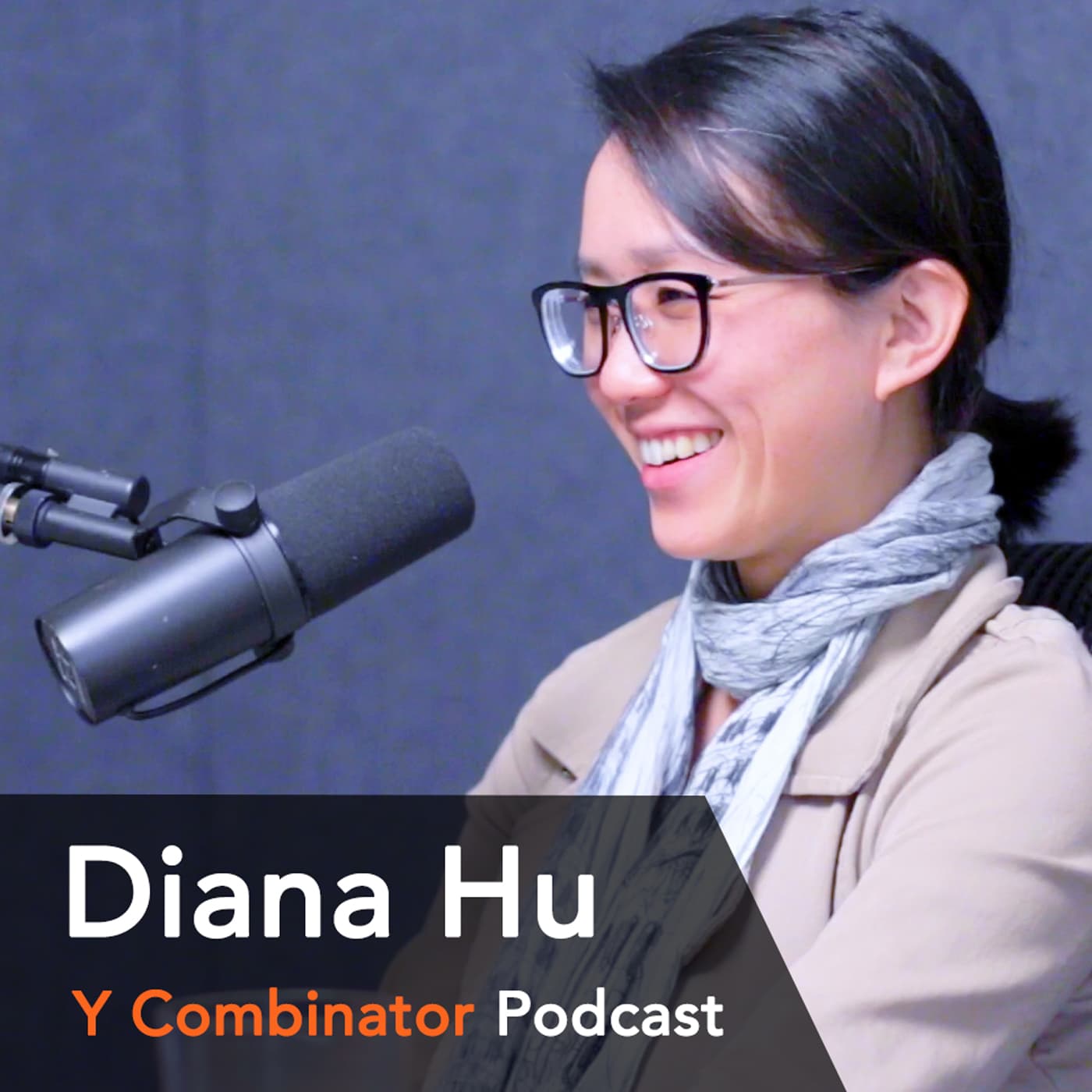 Y Combinator Startup Podcast cover art