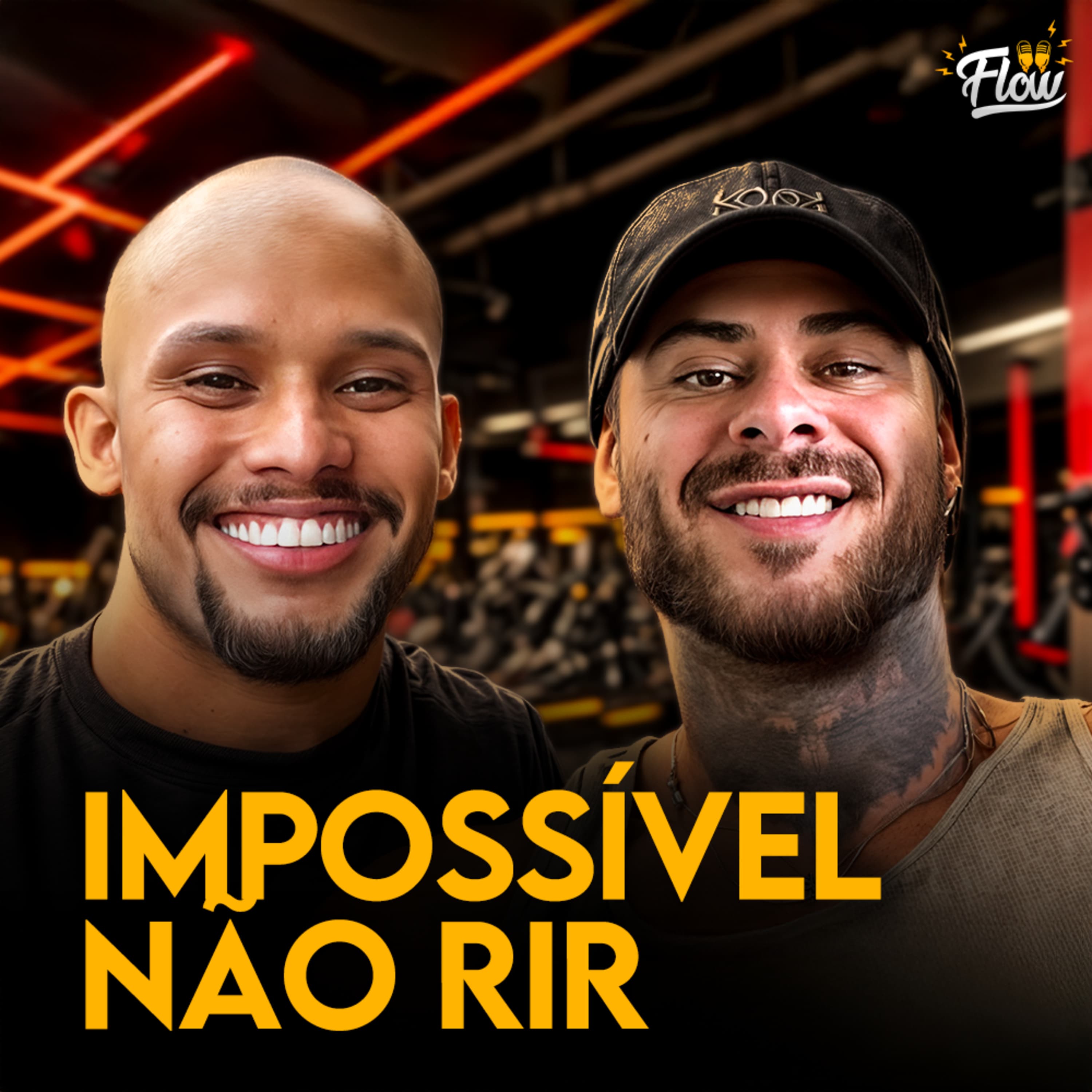 Flow Podcast cover art