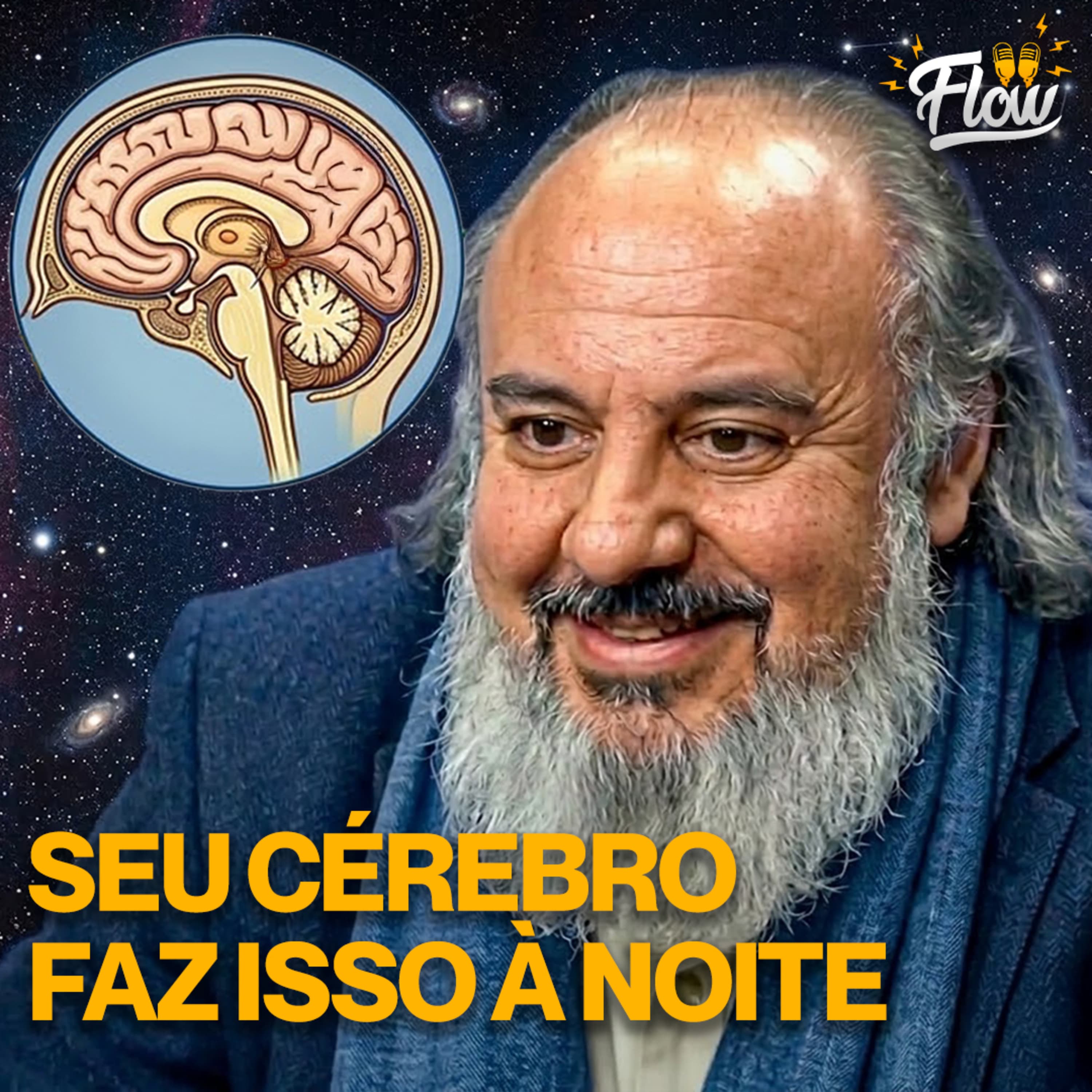 Flow Podcast cover art