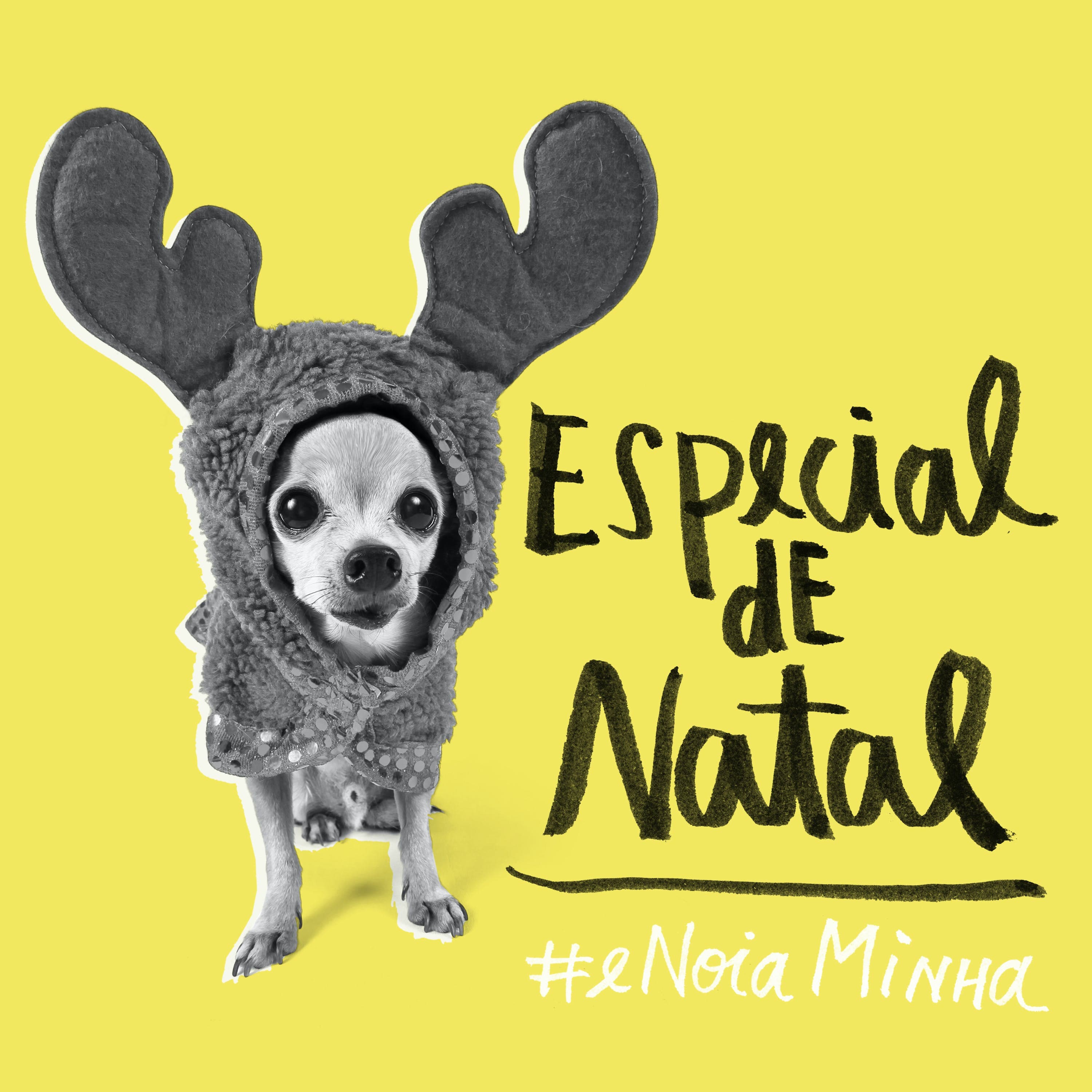 É nóia minha? podcast cover art
