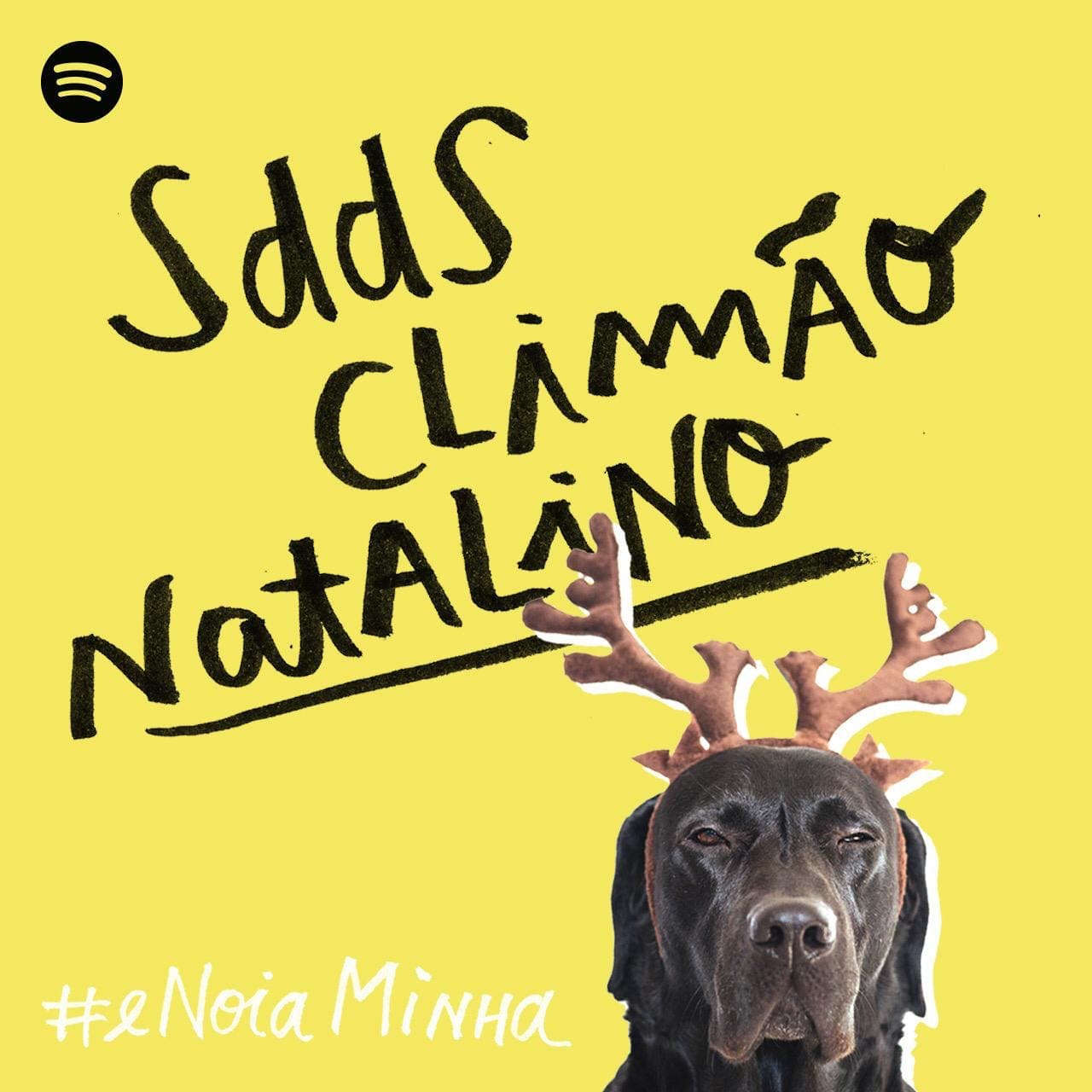 É nóia minha? podcast cover art