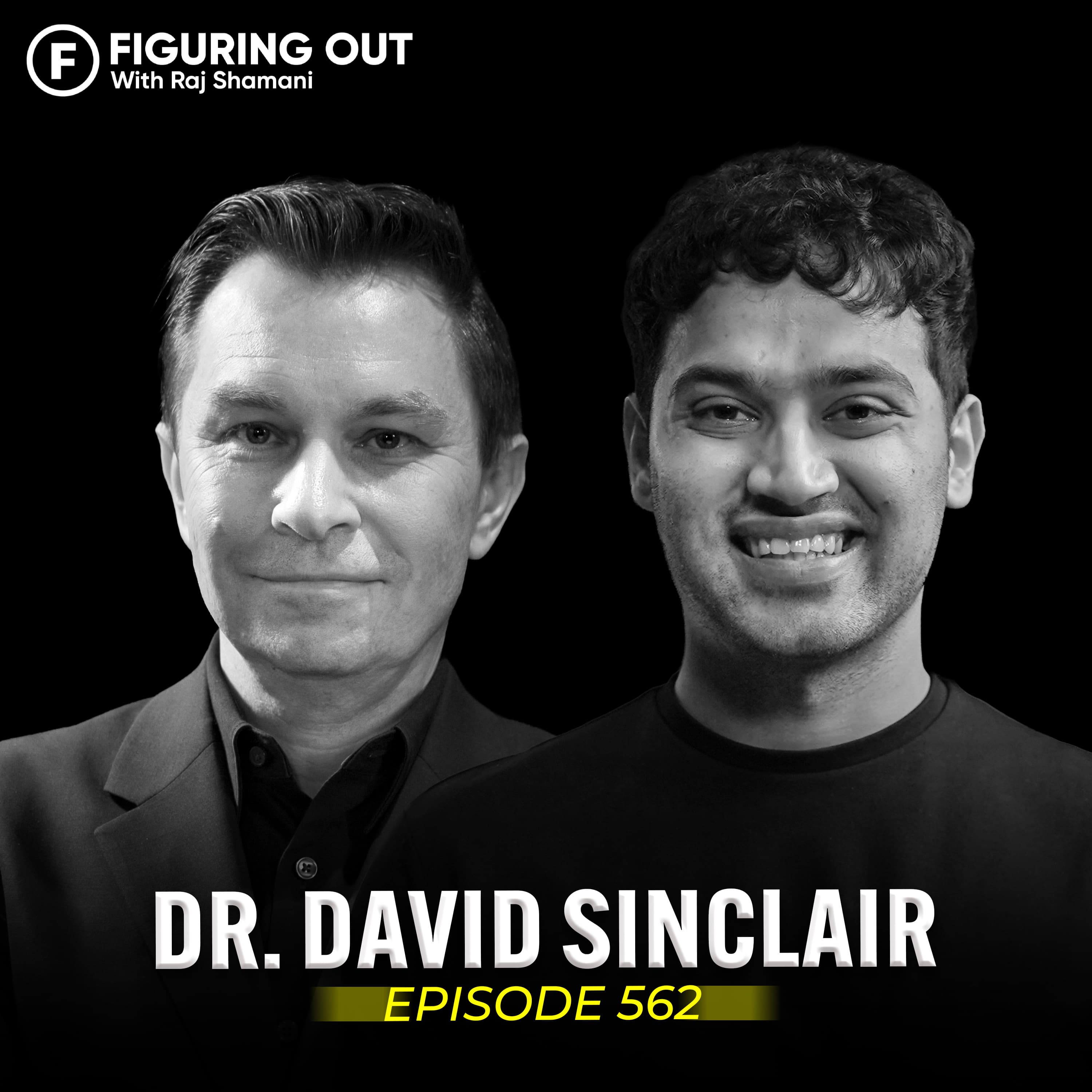 Figuring Out with Raj Shamani podcast cover art