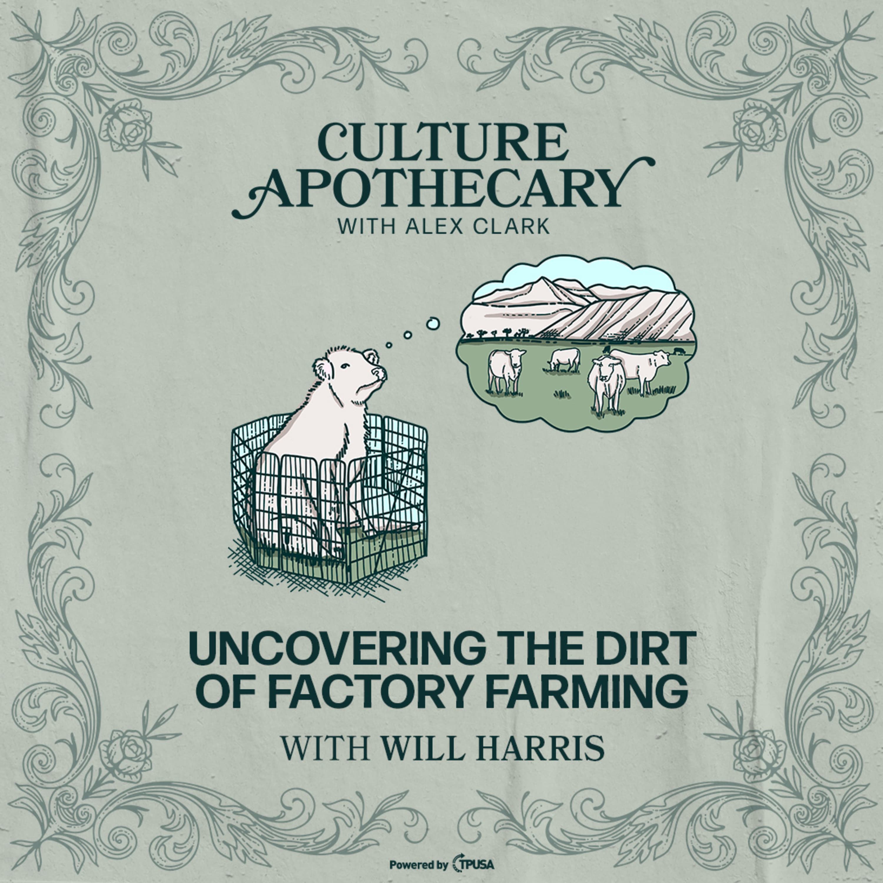 Culture Apothecary with Alex Clark podcast cover art