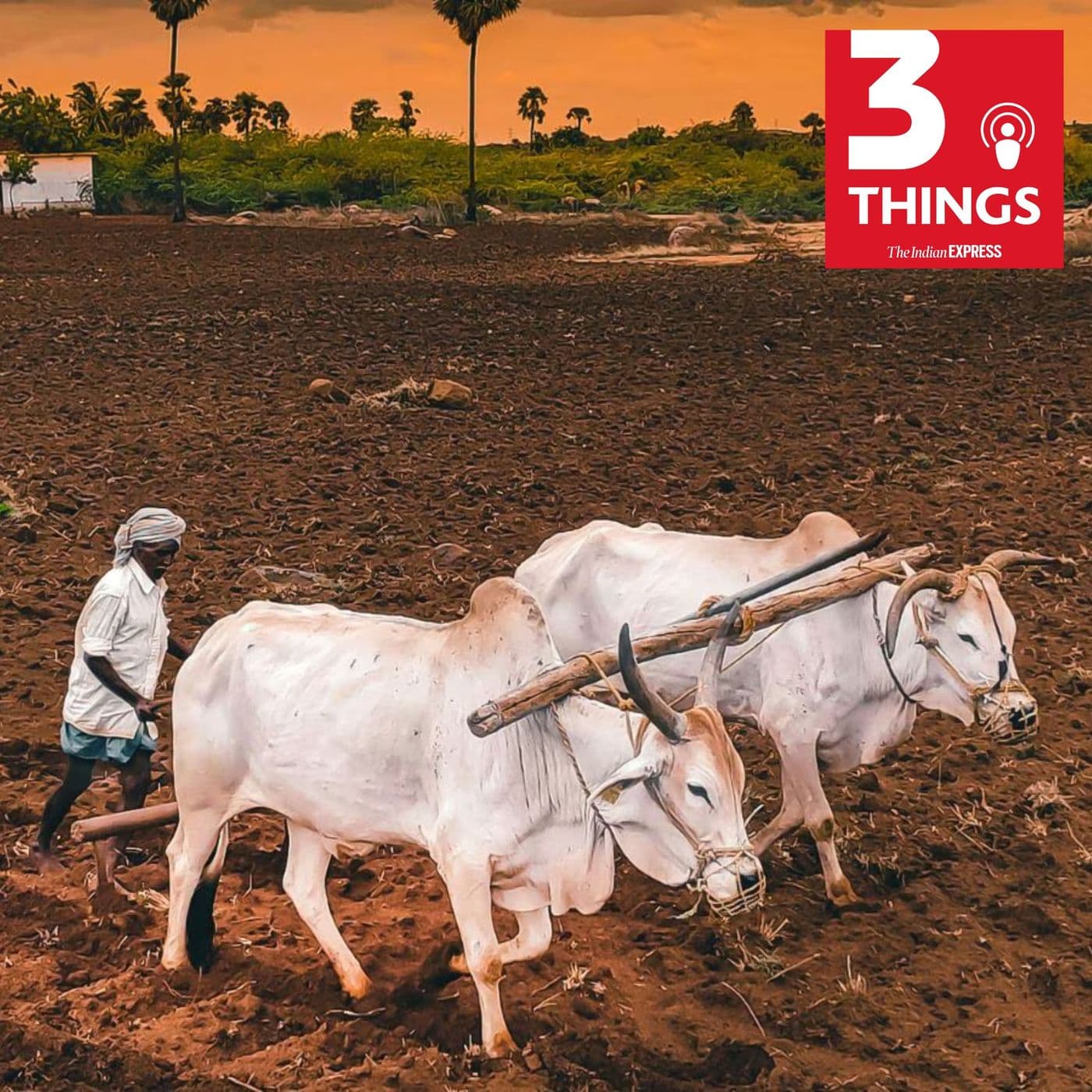 3 Things podcast cover art