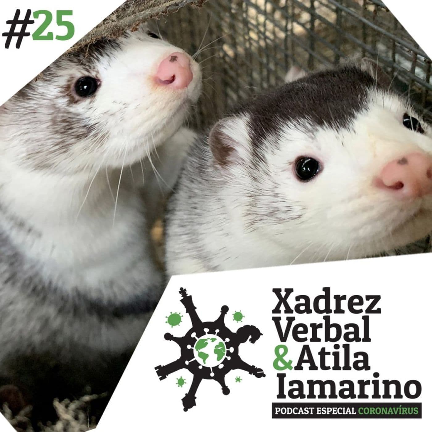 Xadrez Verbal podcast cover art