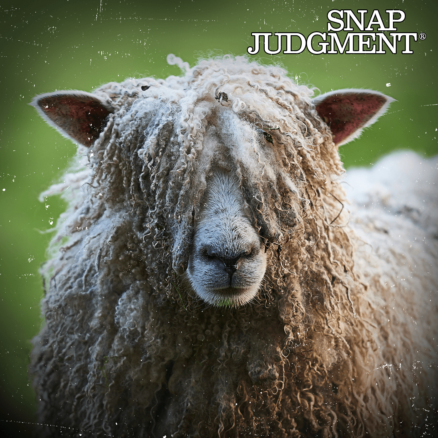 Snap Judgment podcast cover art