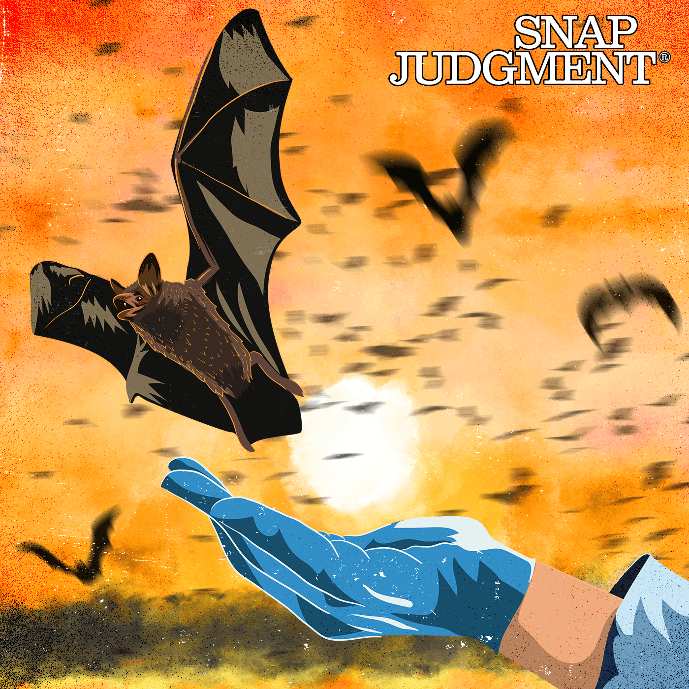 Snap Judgment podcast cover art