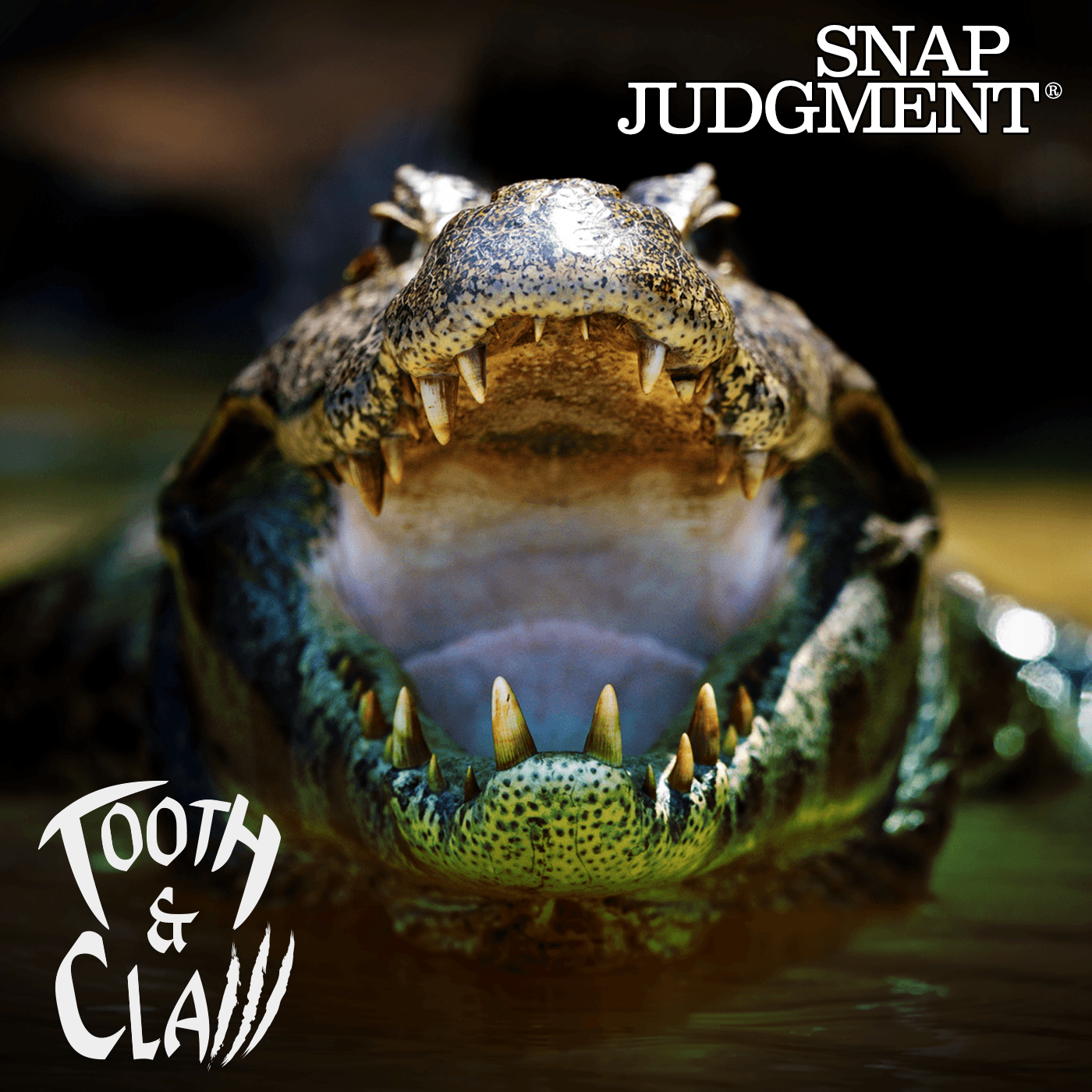 Snap Judgment podcast cover art