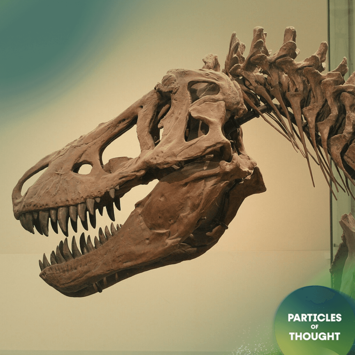 Particles of Thought podcast cover art