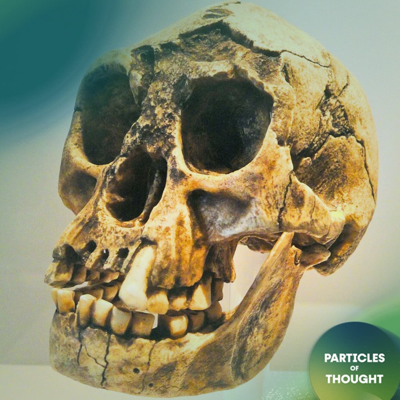 Particles of Thought podcast cover art