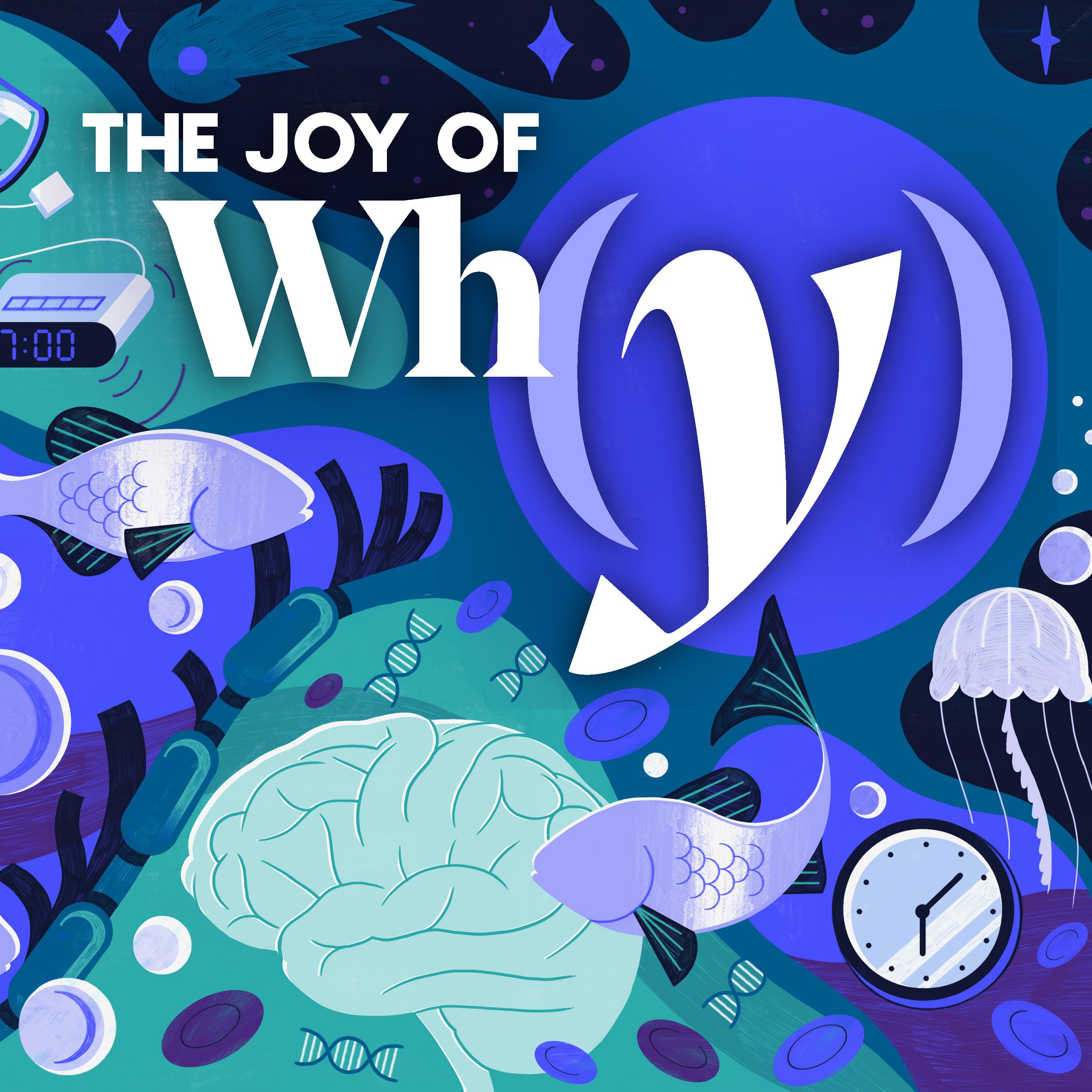 The Joy of Why podcast cover art