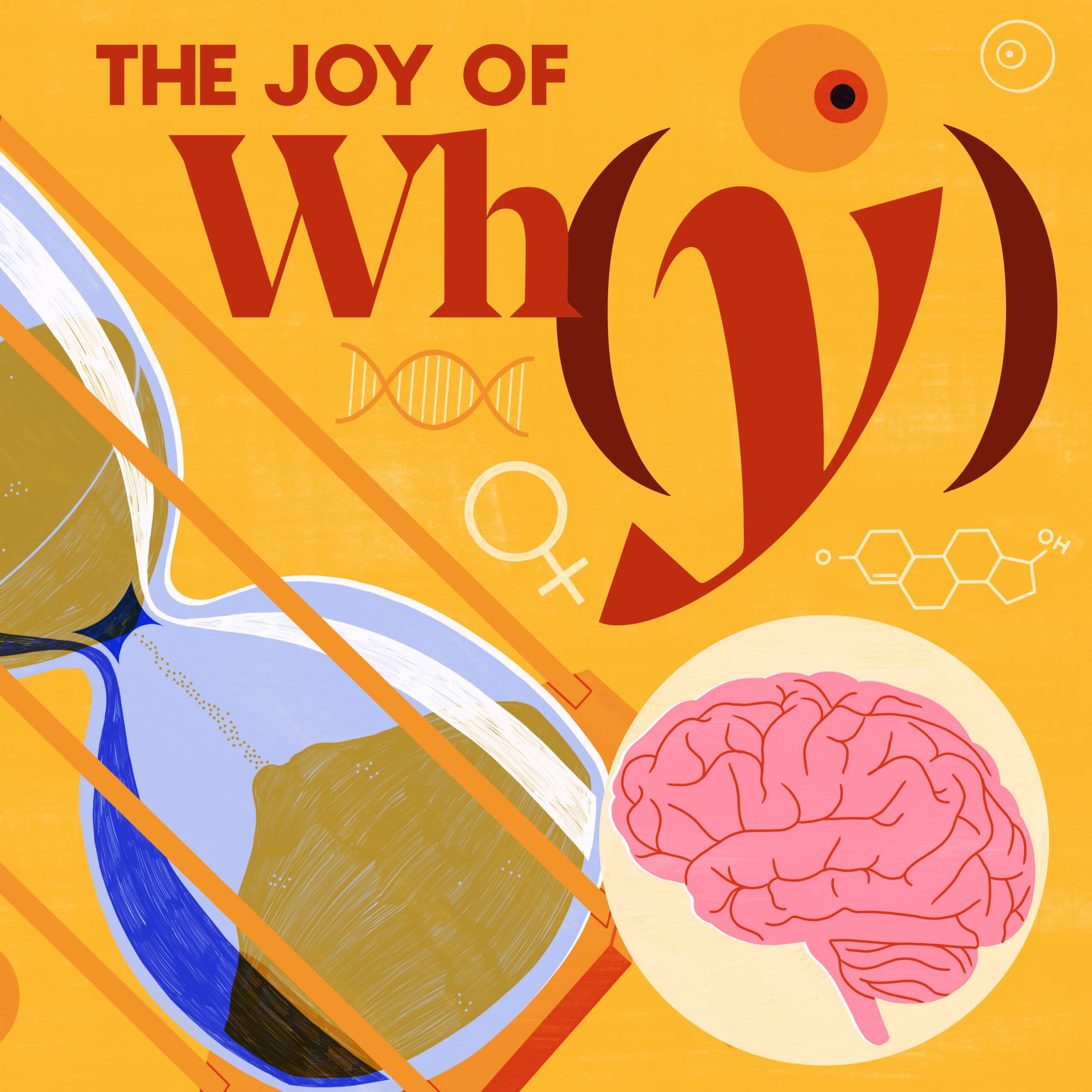 The Joy of Why podcast cover art