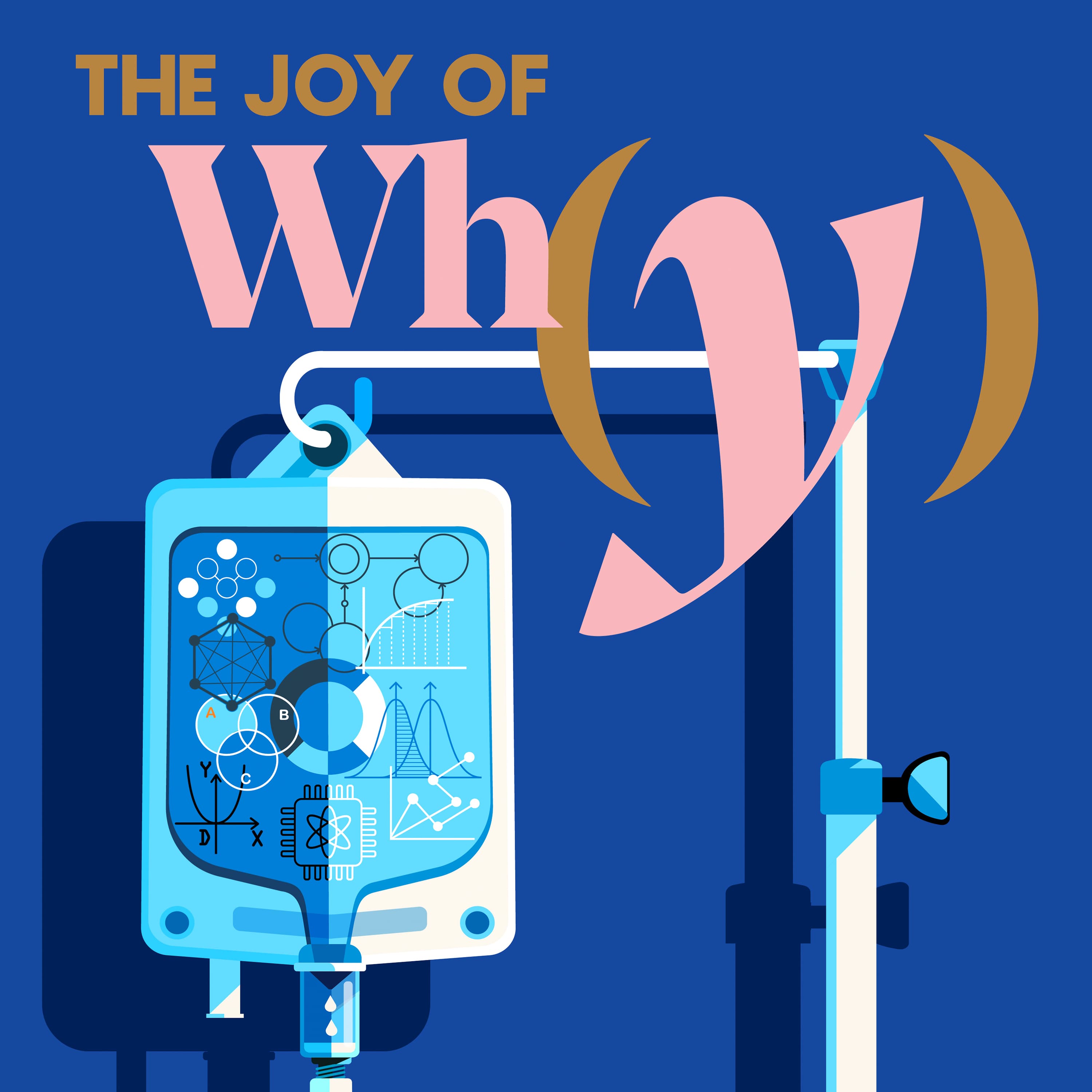 The Joy of Why podcast cover art