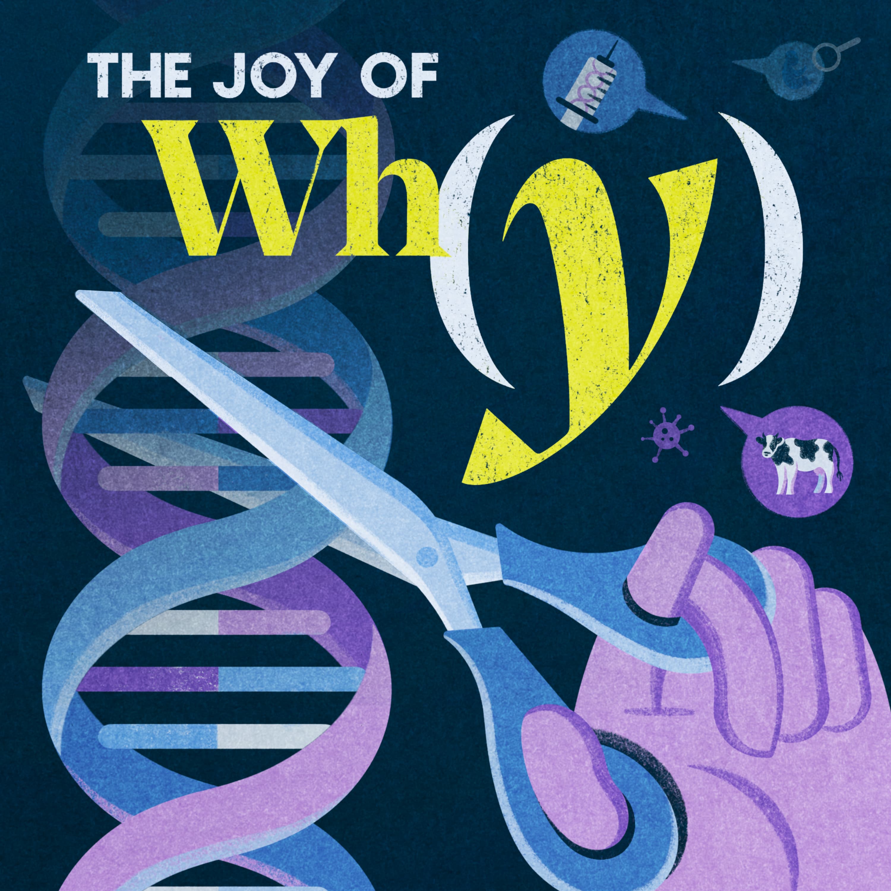 The Joy of Why podcast cover art