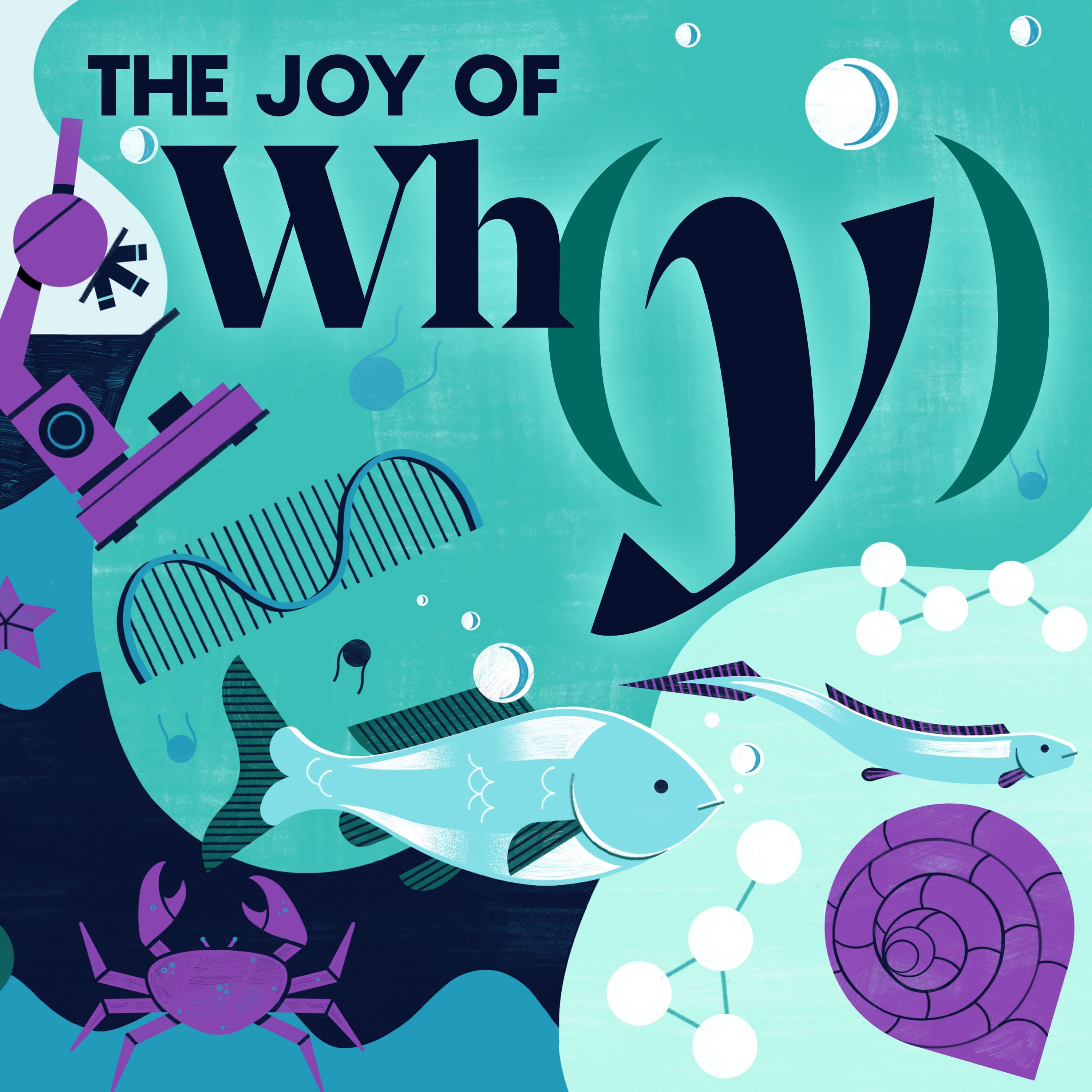 The Joy of Why podcast cover art