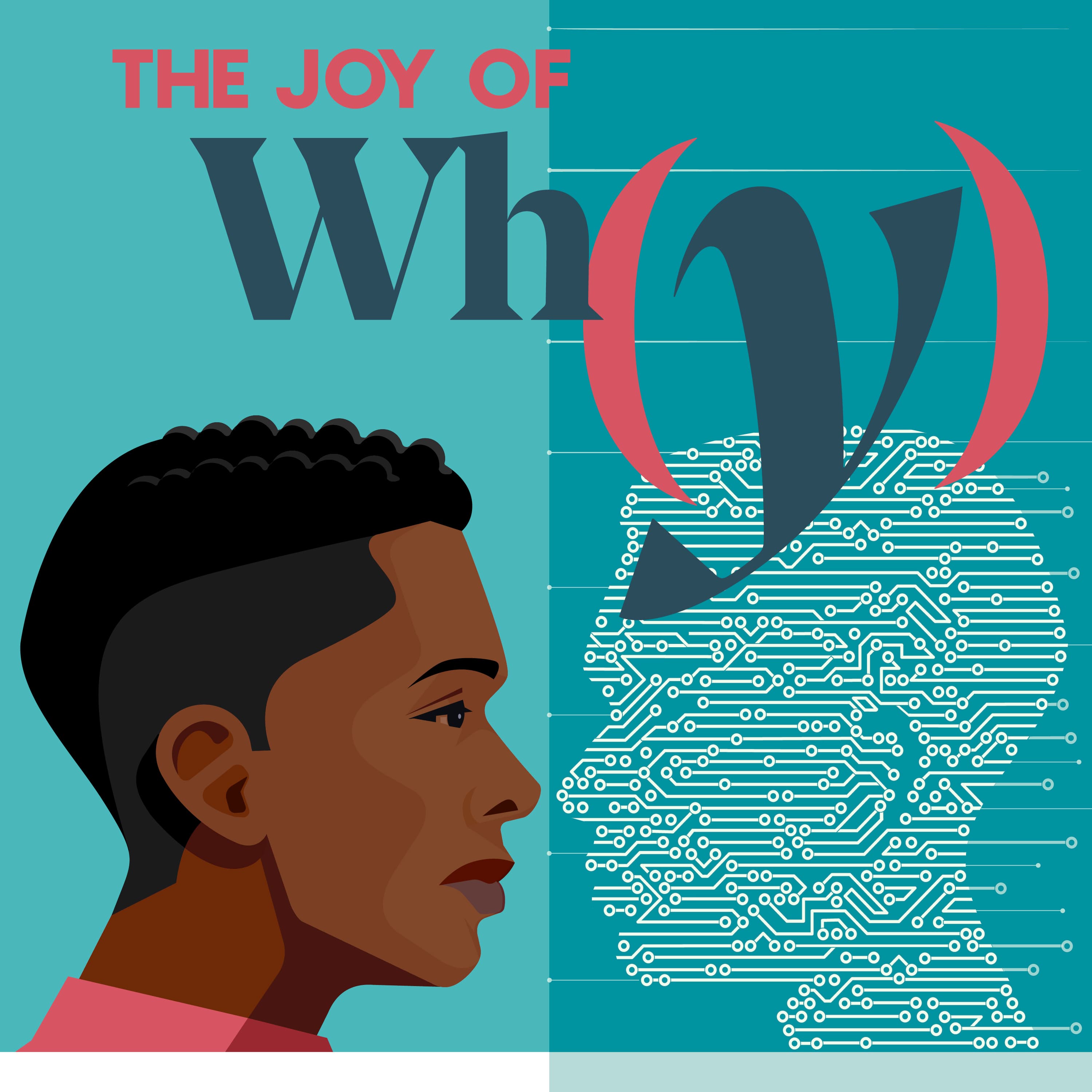 The Joy of Why podcast cover art